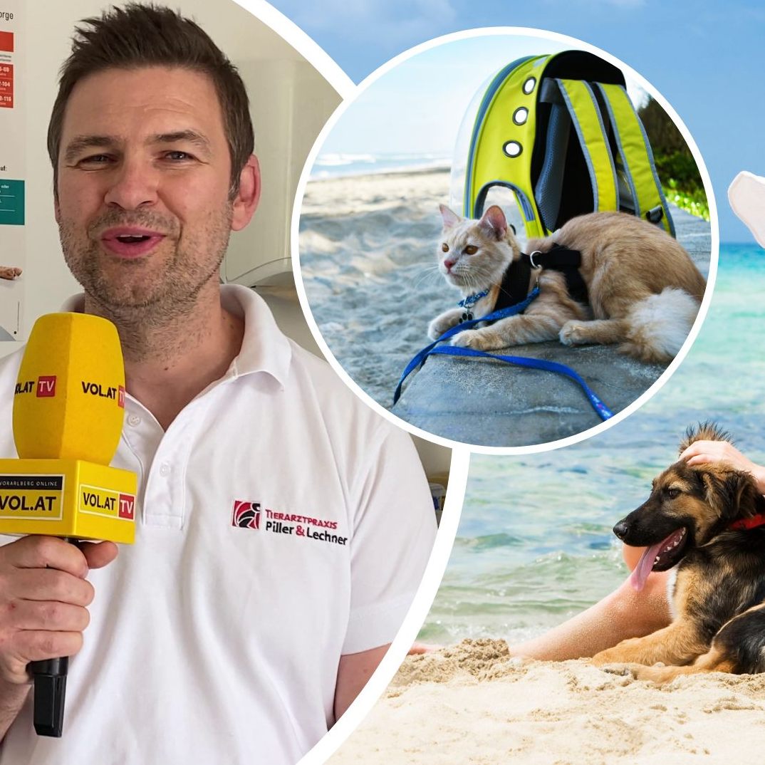 Was tun bei Hitze und wie geht ein Sommerurlaub mit Haustier?