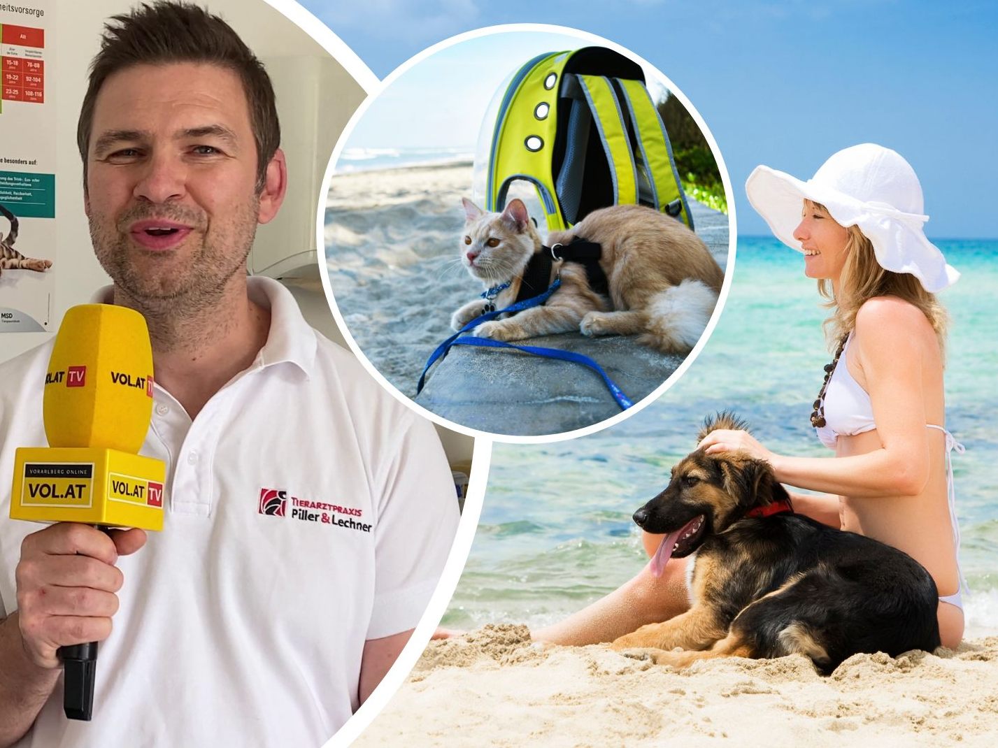 Was tun bei Hitze und wie geht ein Sommerurlaub mit Haustier?