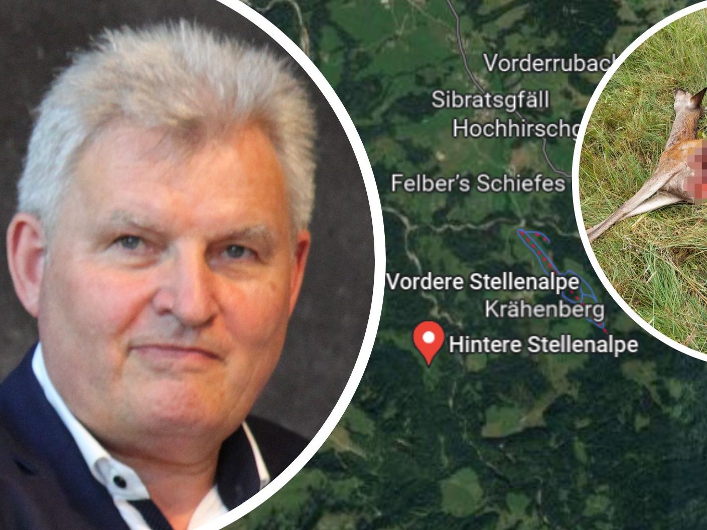 Wie sieht Bezirksjägermeister Hans Metzler die Wolfs-Thematik?