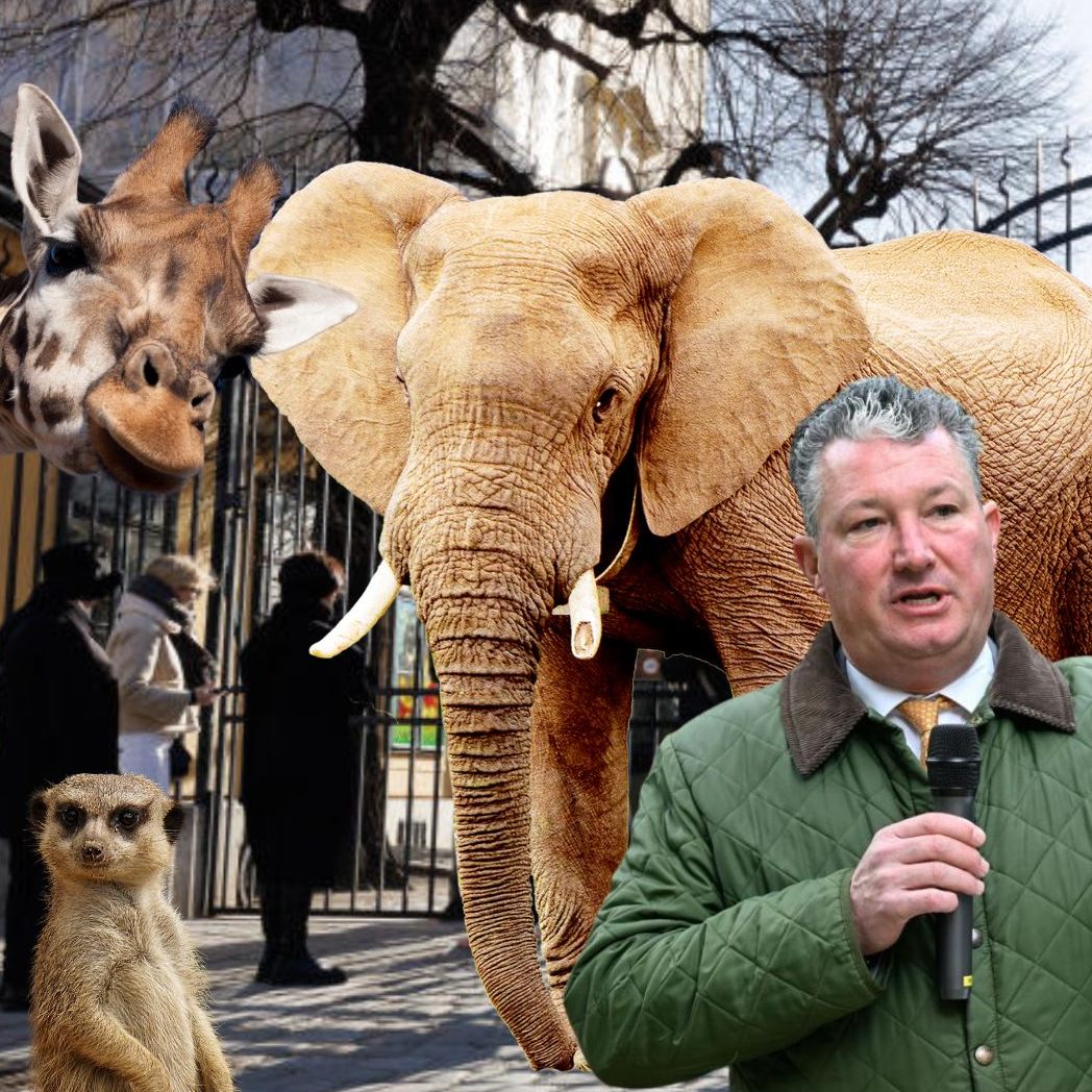 Zoodirektor Stephan Hering-Hagenbeck will den Fokus auf den Artenschutz lenken.