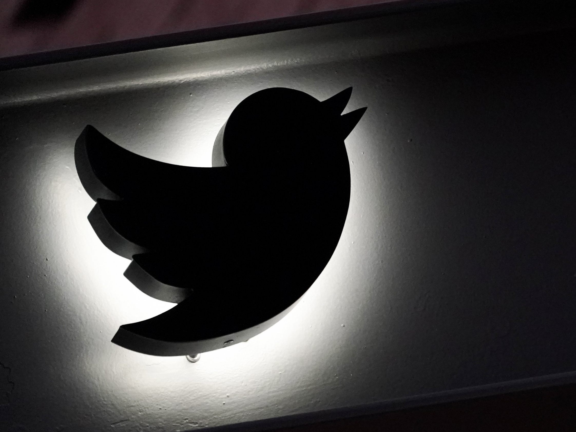Die Nachfrage nach einer Twitter-Alternative steigt. Die Nachfrage nach einer Twitter-Alternative steigt.