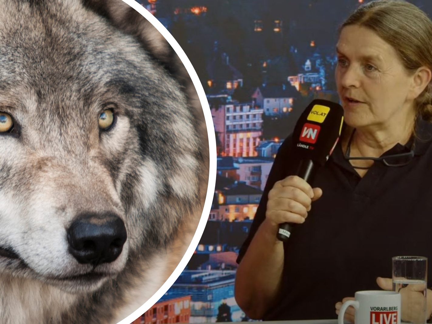 Naturschutzanwältin Lins zu Streitthemen wie der Wolfansiedelung.