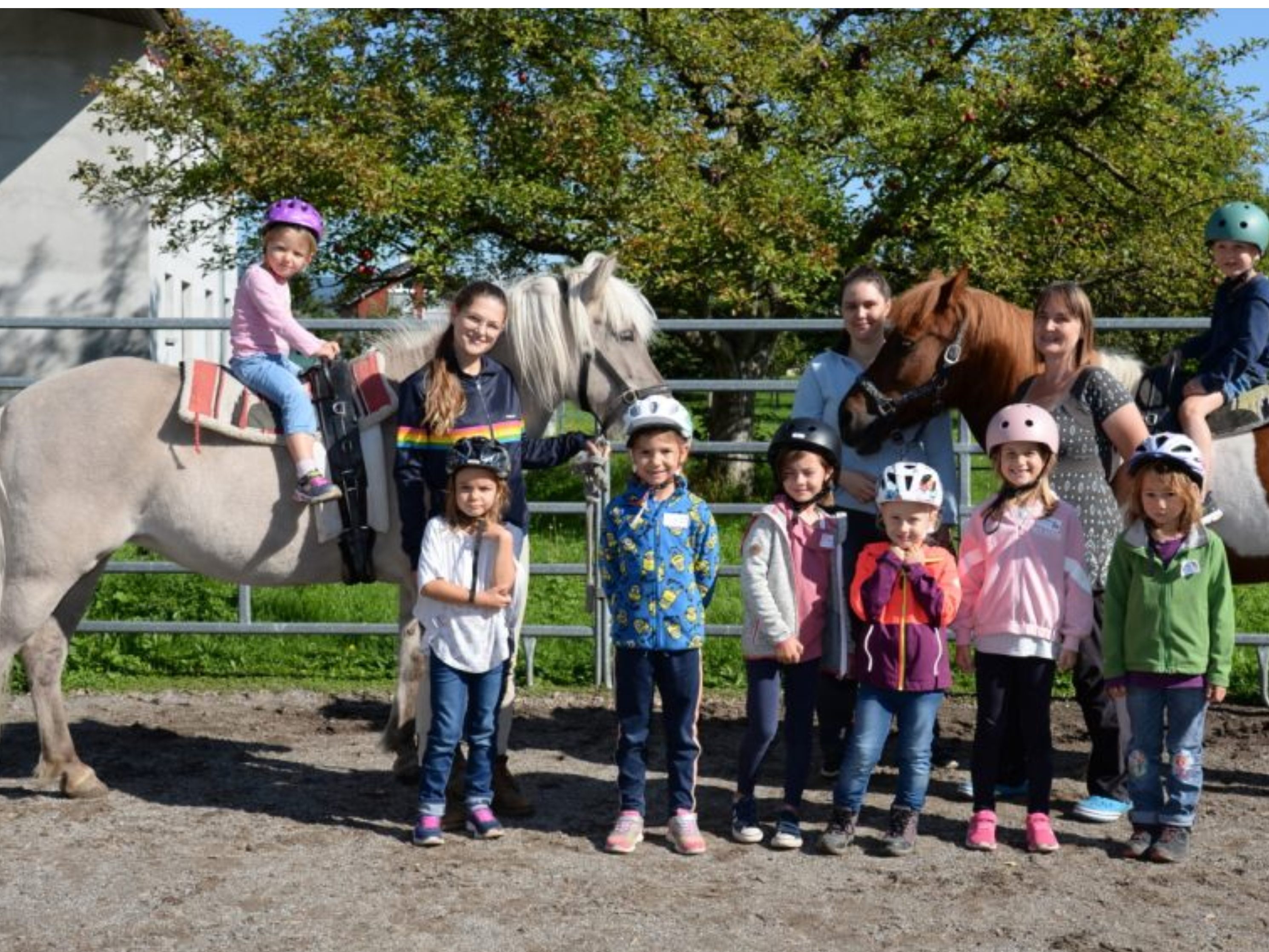 Das Erlebnisprogramm auf dem Ponyhof steht auch in diesem Jahr auf dem Programm der Aktivwochen Das Erlebnisprogramm auf dem Ponyhof steht auch in diesem Jahr auf dem Programm der Aktivwochen