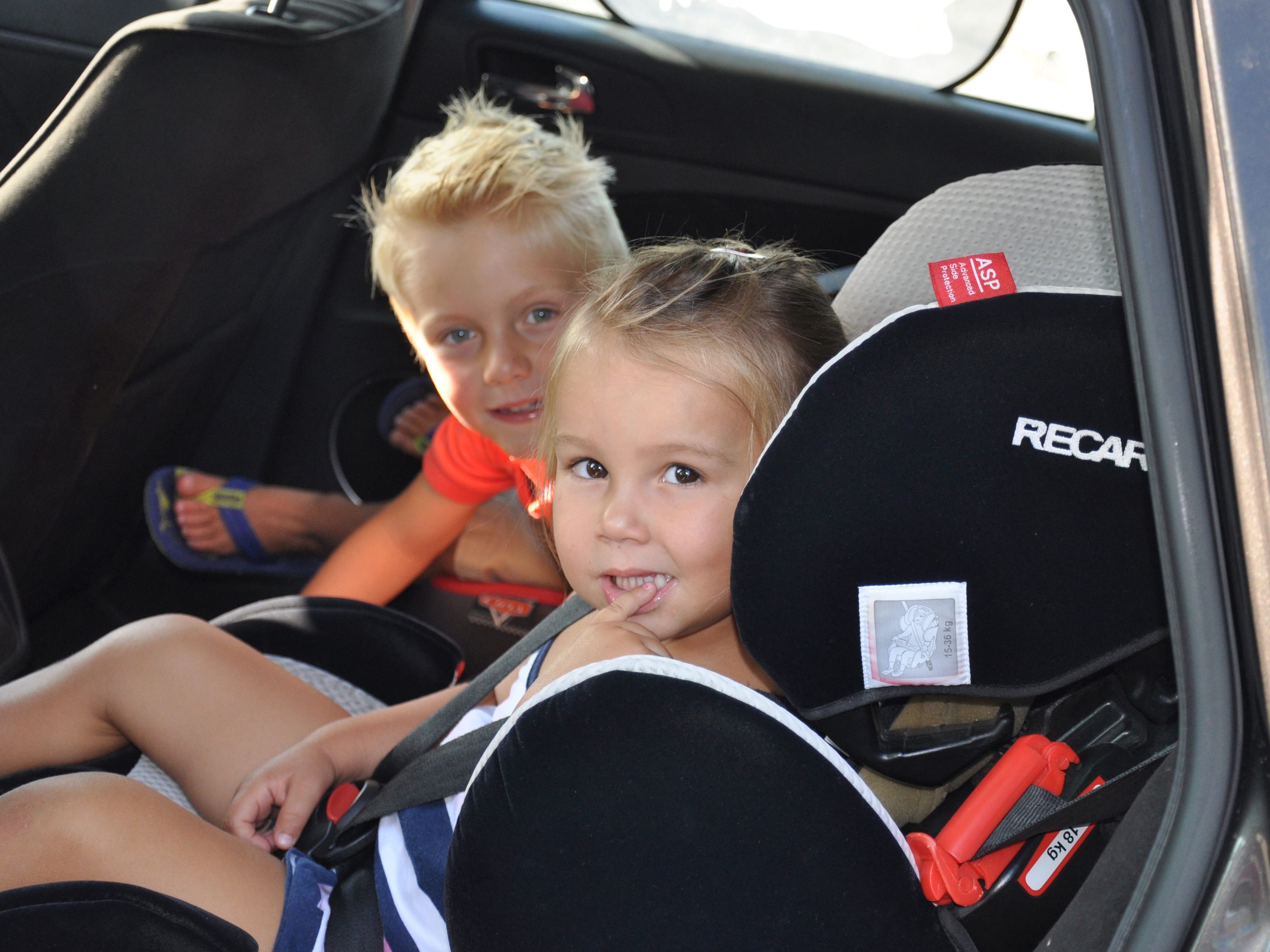 Was bei Hitze im Auto für Kinder gilt, gilt ebenso für Tiere.