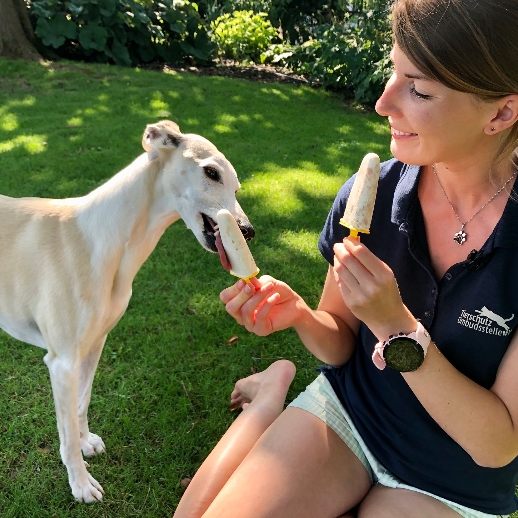 Darauf sollte man bei Hitze bei seinen Haustieren achten.