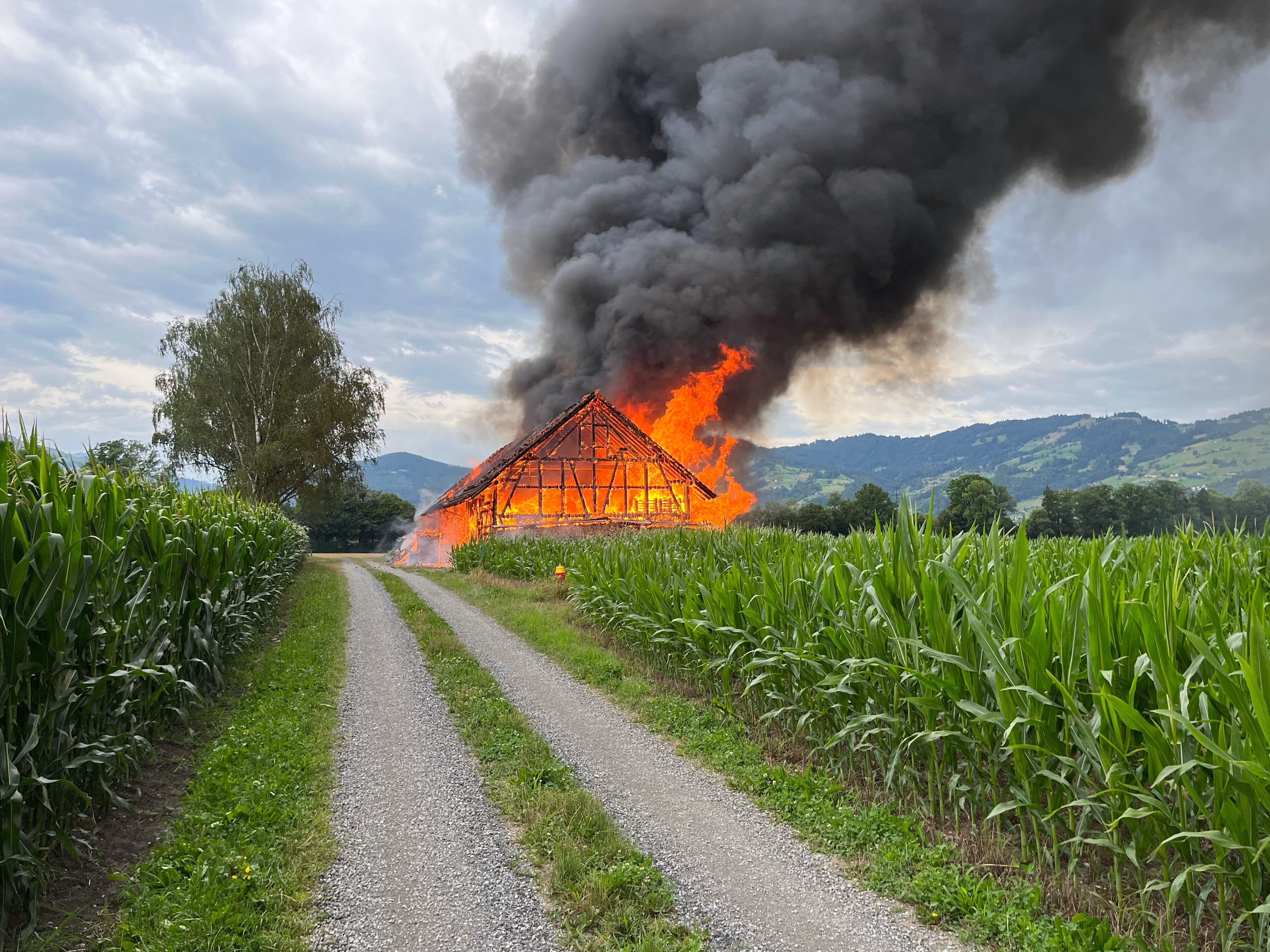 Großbrand in Marbach.