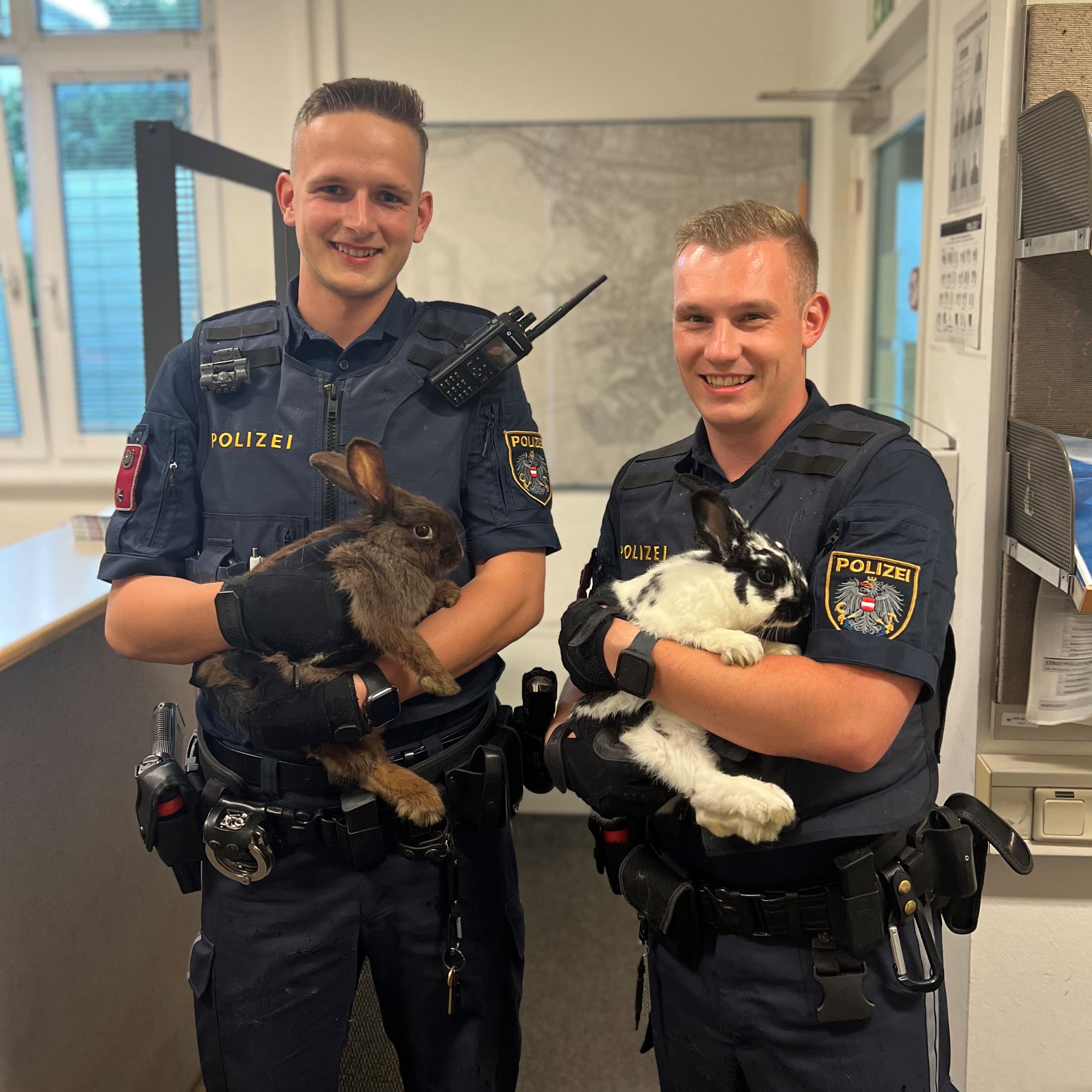 Wiener Polizisten retteten zwei Kaninchen vor dem sicheren Tod im Straßenverkehr in Wien-Hietzing.