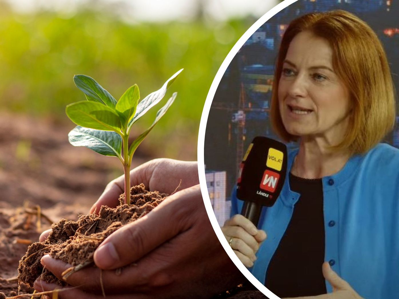 Simone Schmidtbauer bei "Vorarlberg LIVE".