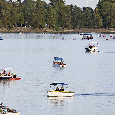 Alte Donau schnitt bei Greenpeace-Untersuchung schlecht ab