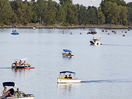 Alte Donau schnitt bei Greenpeace-Untersuchung schlecht ab