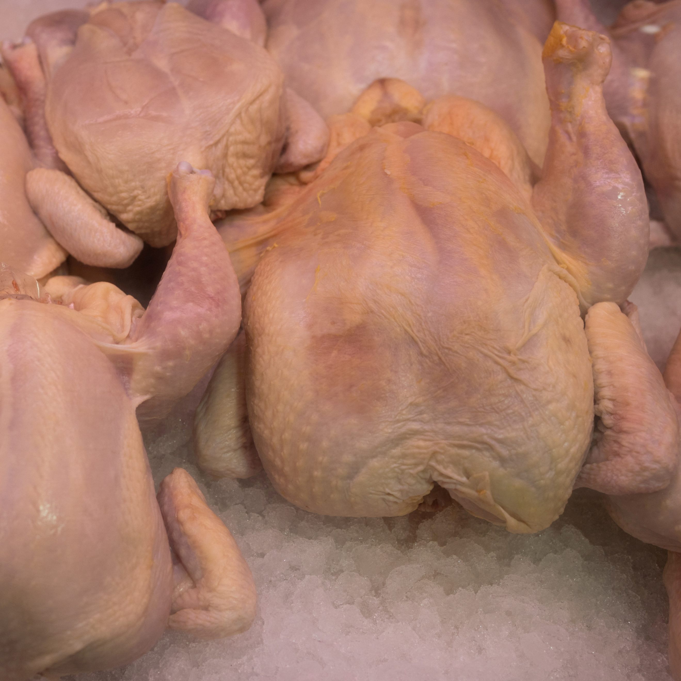 134 Salmonellenfälle in der EU stehen im Zusammenhang mit importiertem Hühnerfleisch.