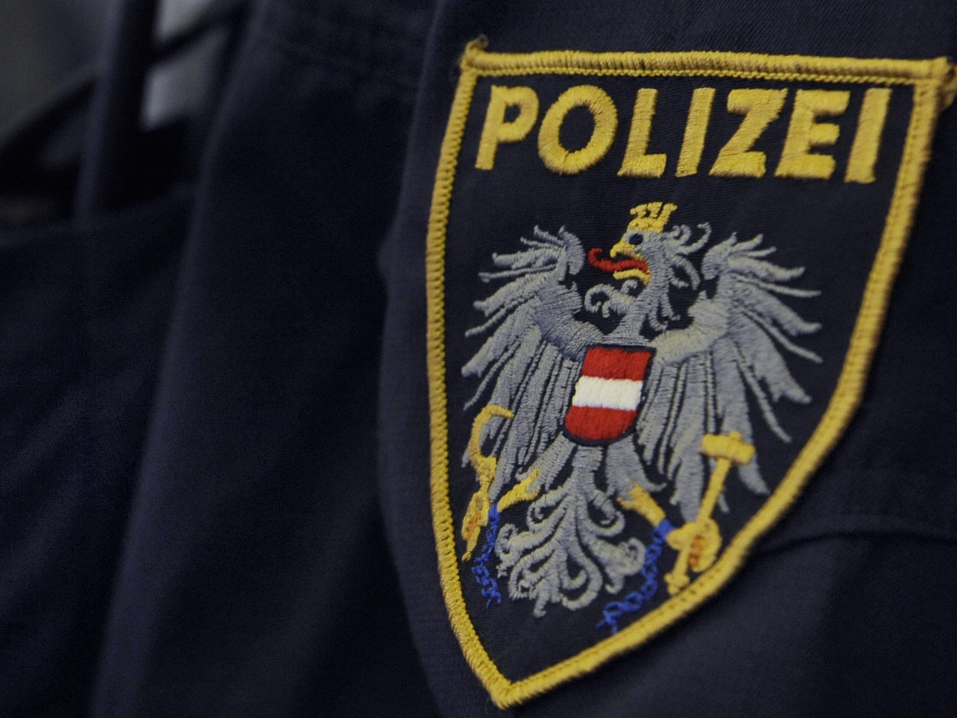 Die Wiener Polizei verhaftete einen mutmaßlichen Dieb. Die Wiener Polizei verhaftete einen mutmaßlichen Dieb.