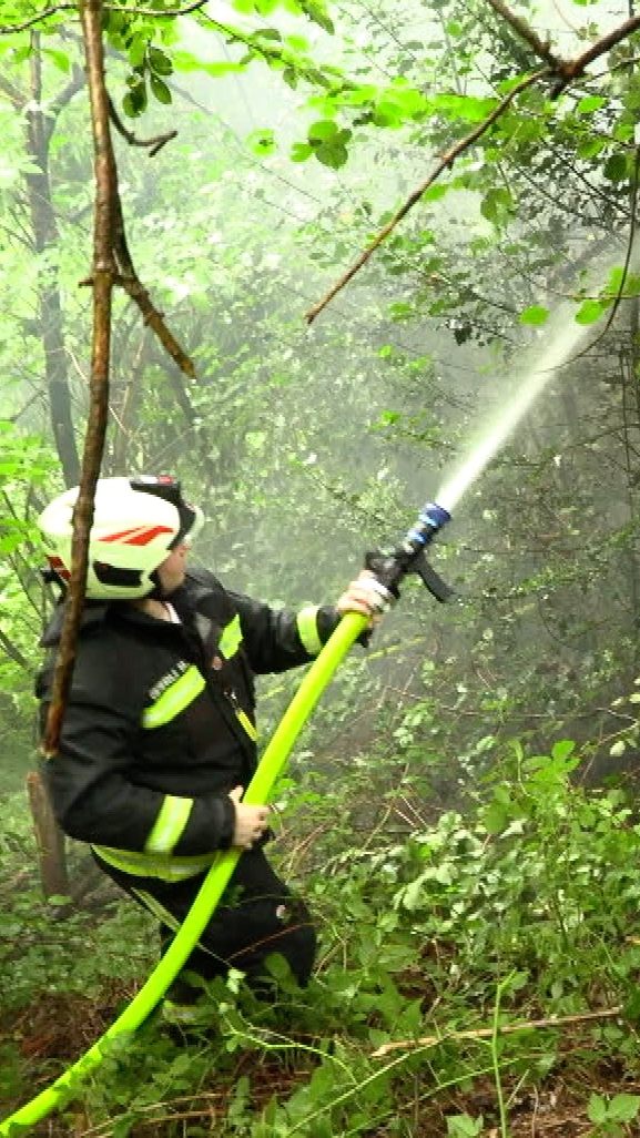 Auch im Unterholz kam es zum Brand.