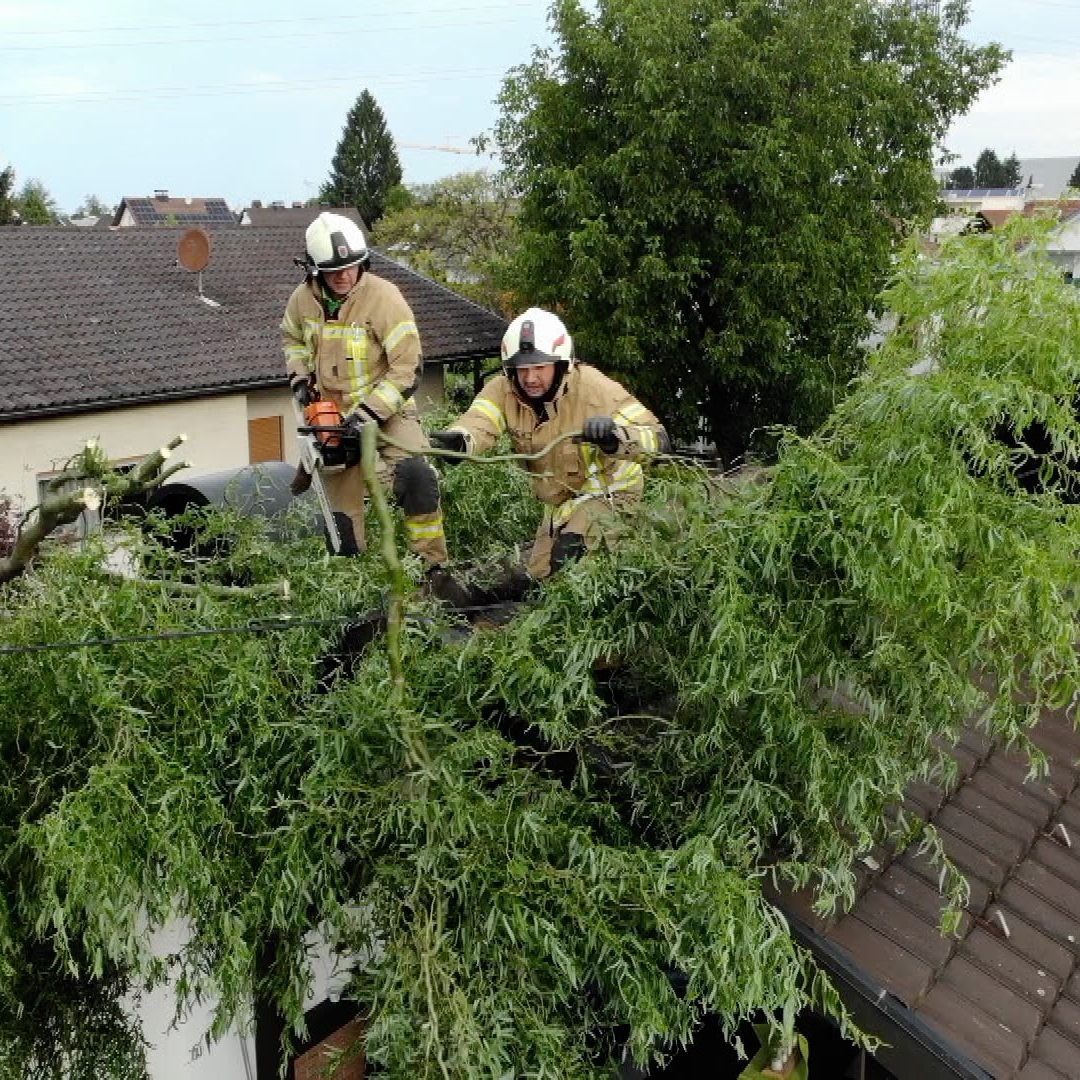 Bäume stürzten auf Häuser
