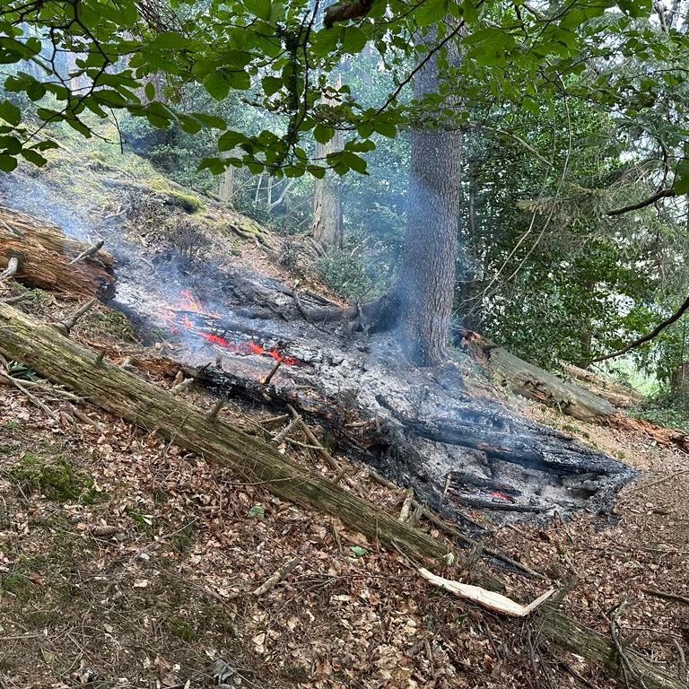 Die Feuerwehr wurde zu einem Waldbrand nach einem Blitzeinschlag gerufen.