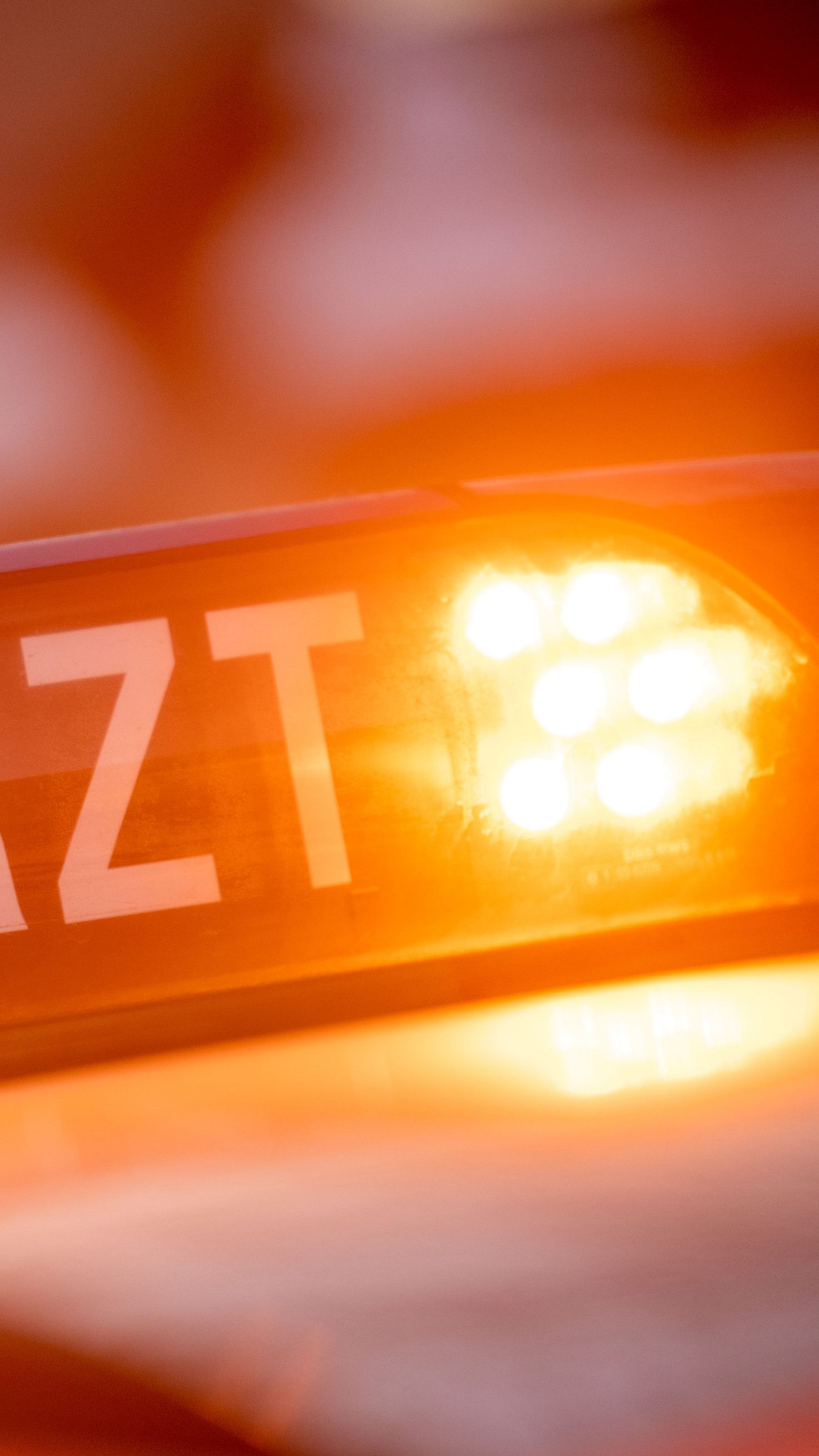 Das Rote Kreuz forderte eine Reform des Rettungswesens.