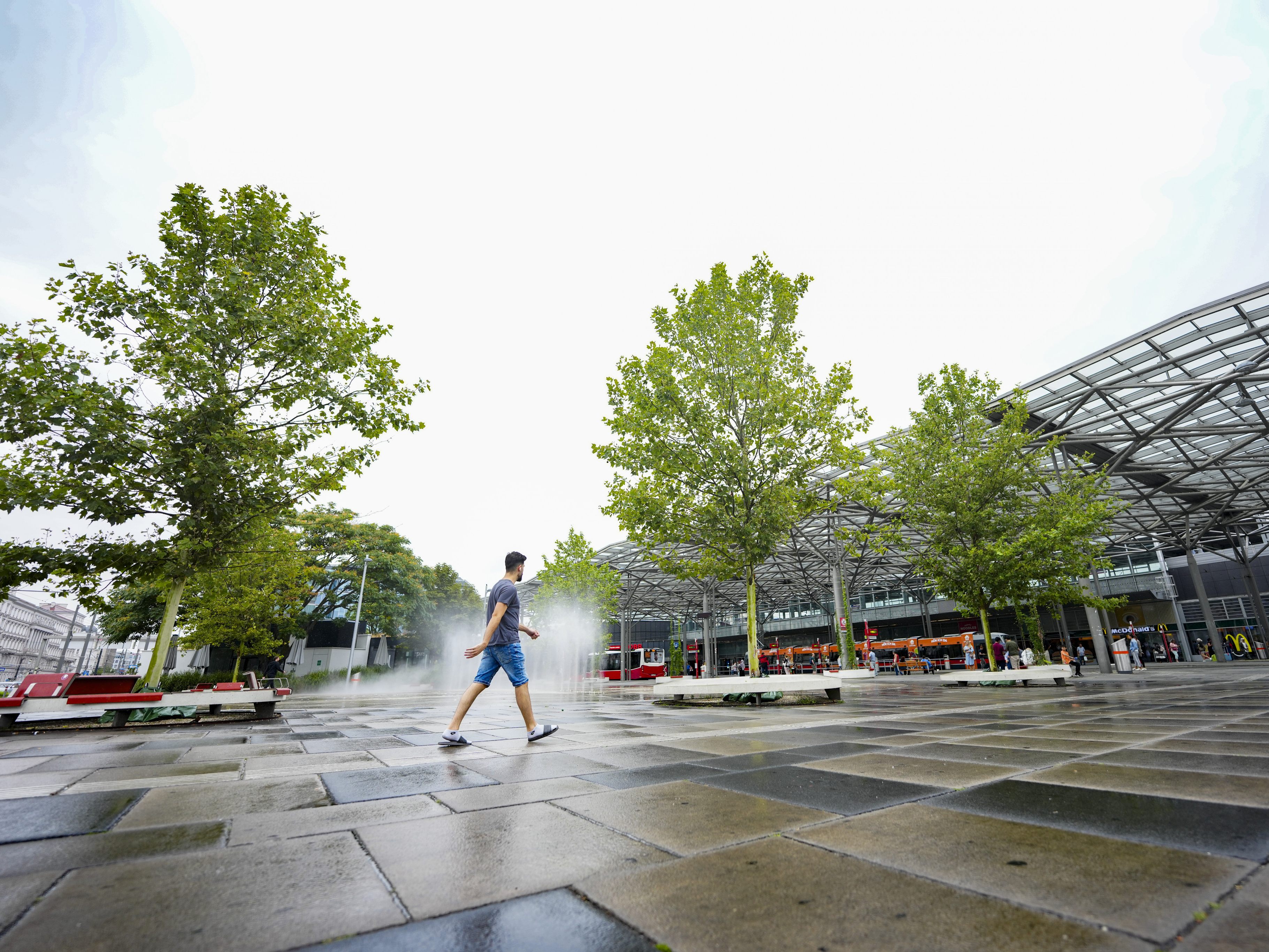 Wird Wien tatsächlich grüner? Wird Wien tatsächlich grüner?