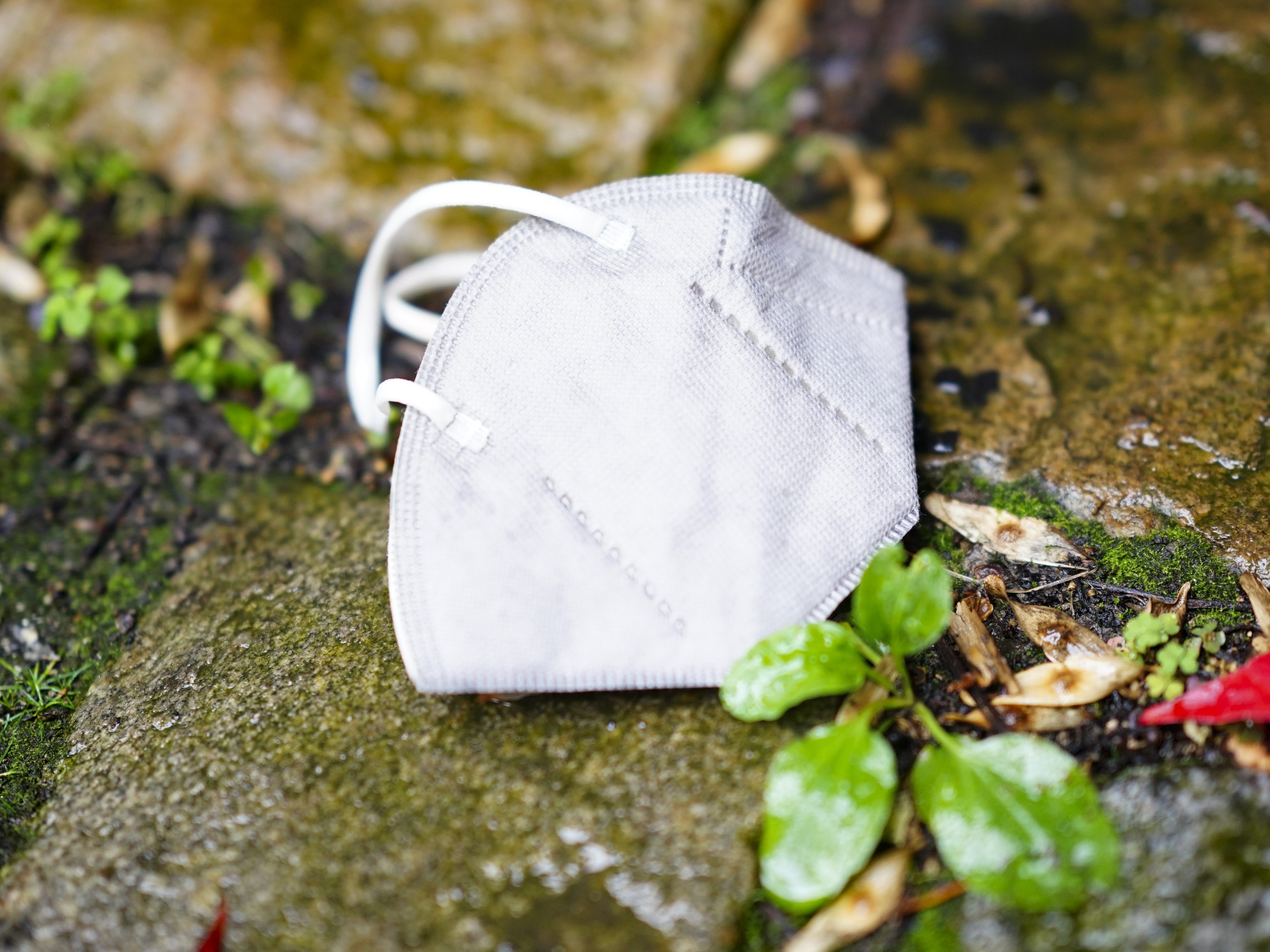 Ein neues Dashboard für Atemwegserkrankungen ist online.