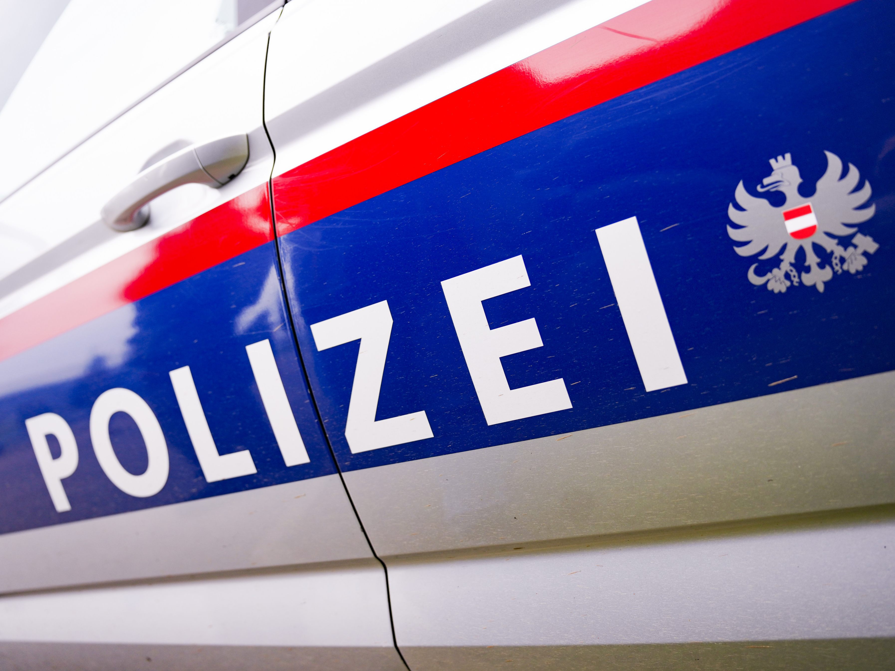 Die Wiener Polizei verhaftete einen 28-jährigen Stiefvater. Die Wiener Polizei verhaftete einen 28-jährigen Stiefvater.