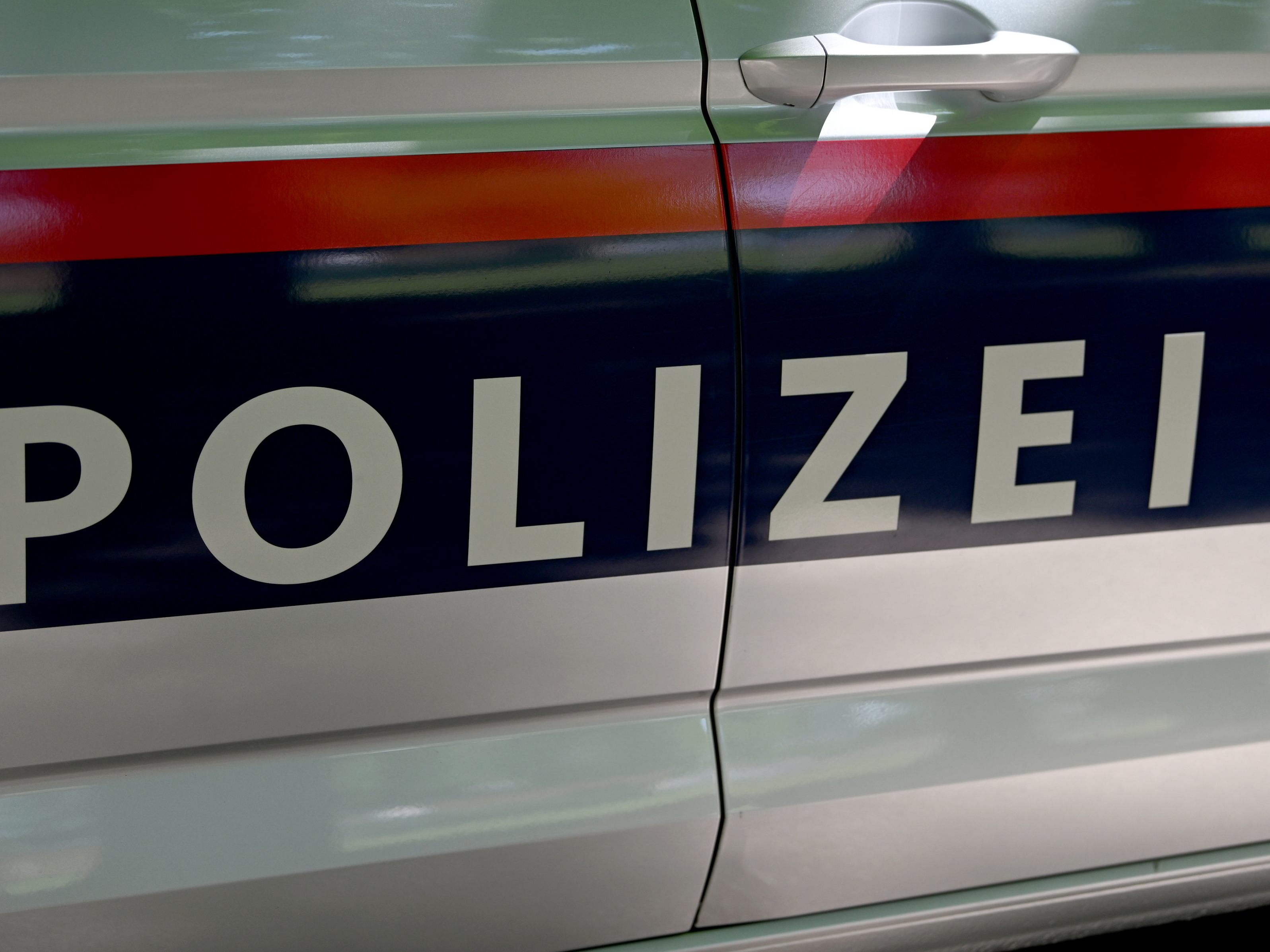 Bei den Grabungen im Fall einer vermissten Frau im Mostviertel wurden keine Funde gemacht. Bei den Grabungen im Fall einer vermissten Frau im Mostviertel wurden keine Funde gemacht.