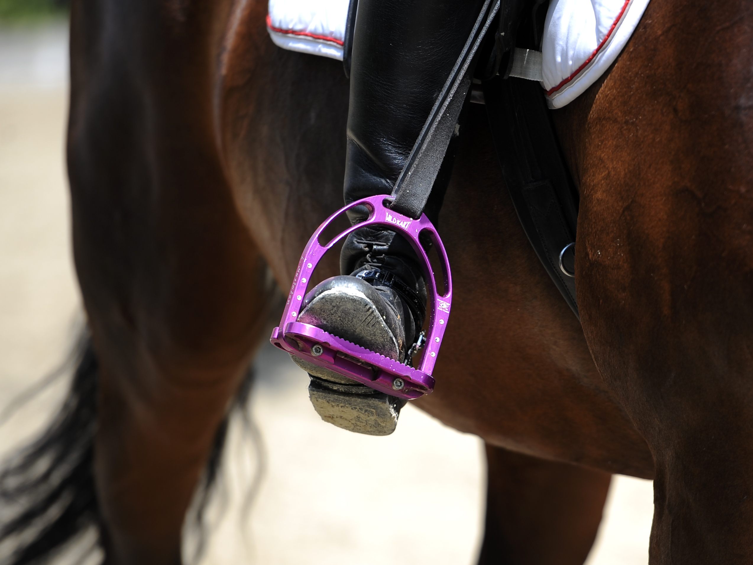Eine 19-Jährige wurde bei einem Reitunfall in Niederösterreich gegen einen Baum geschleudert.