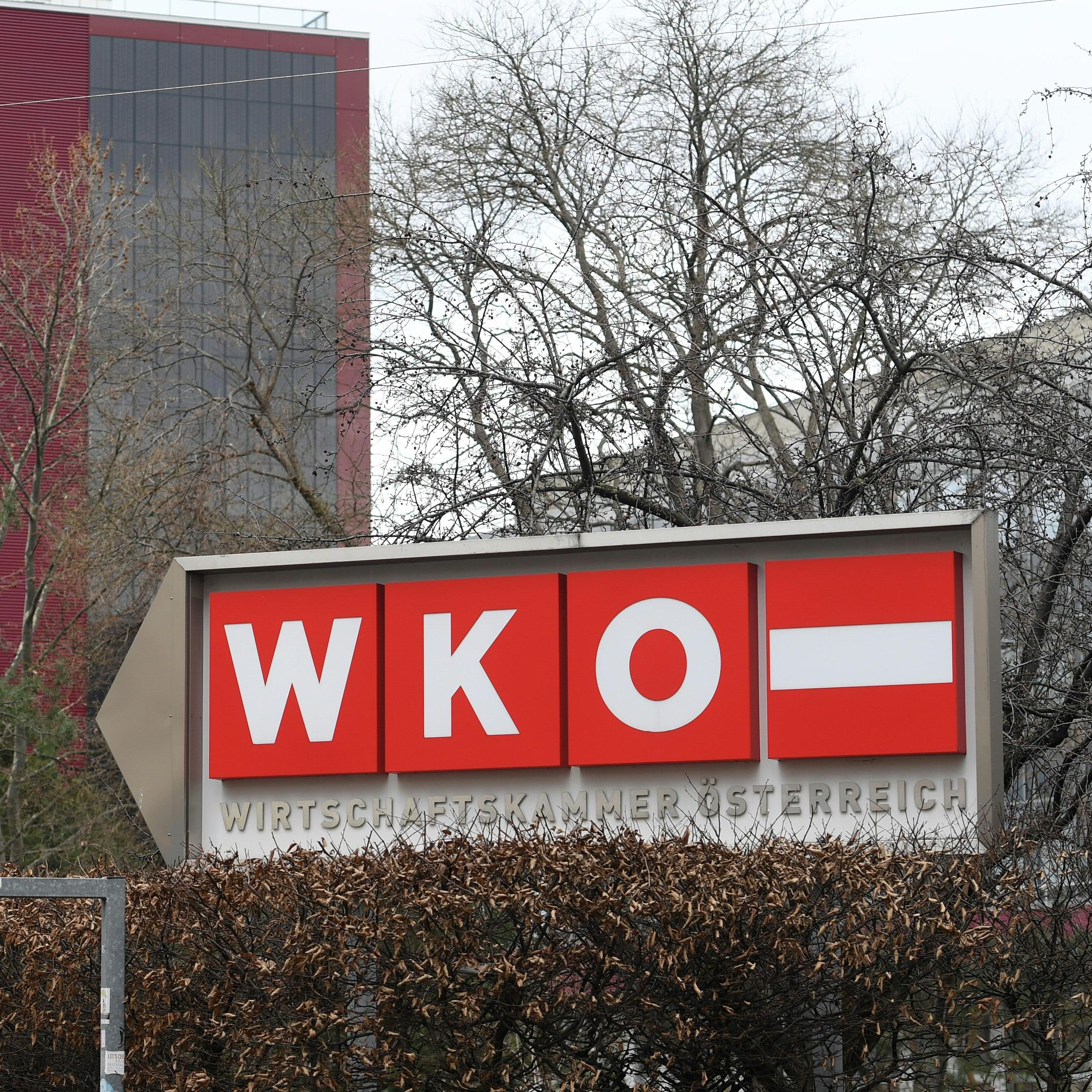 Die Wiener Wirtschaftskammer legt einen Fonds mit 5 Mio. Euro für Musterprozesse auf.