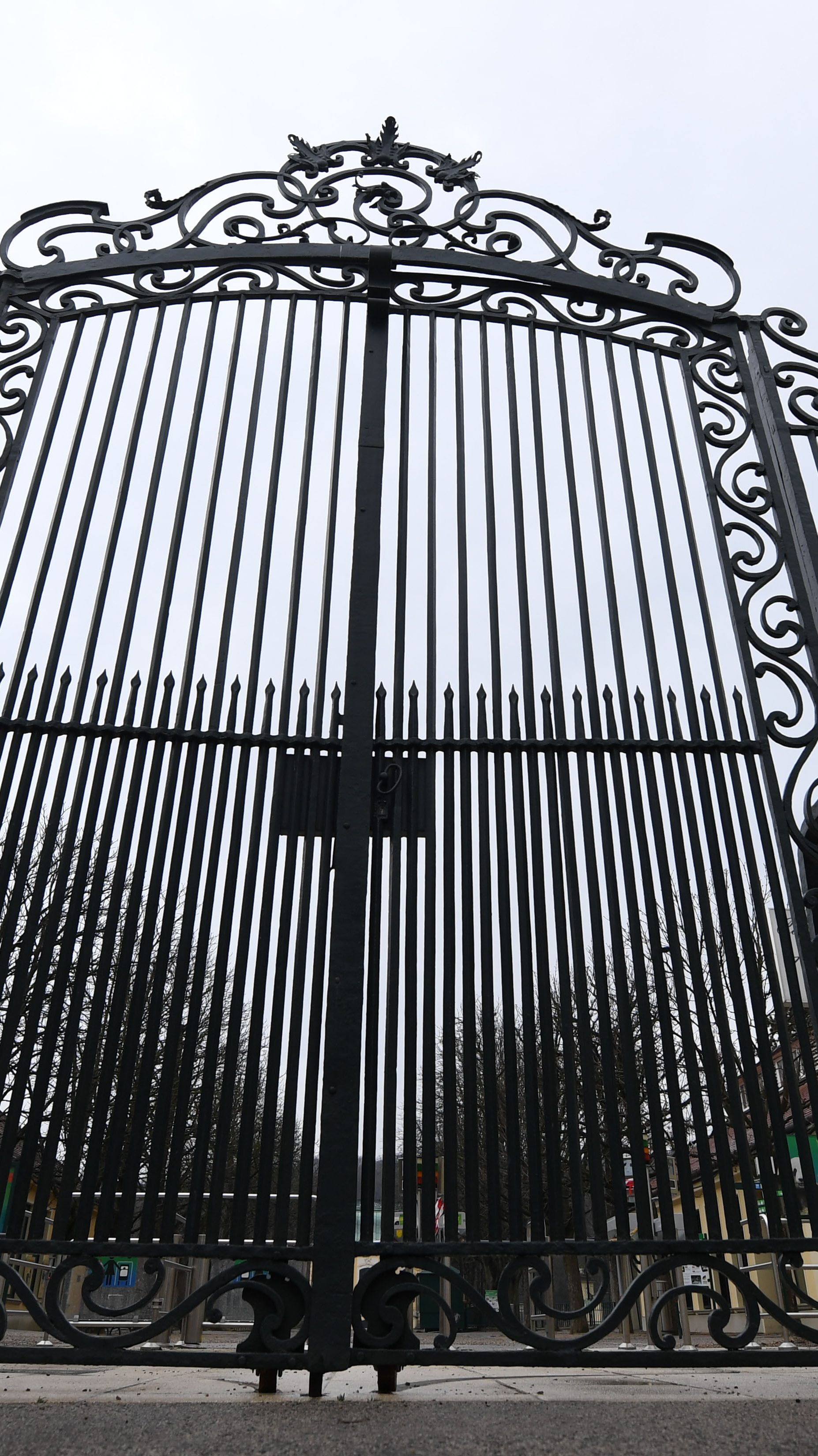 Giraffen-Baby Nio tot - Wiener Tiergarten Schönbrunn "schwer betroffen".