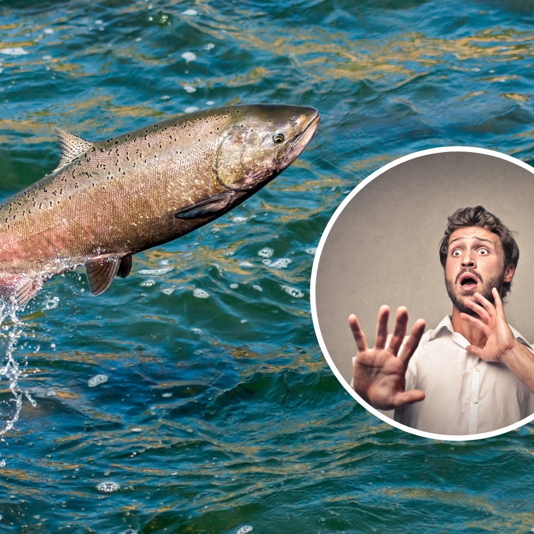 In Schottland wurde ein "Zombie-Fisch" entdeckt".