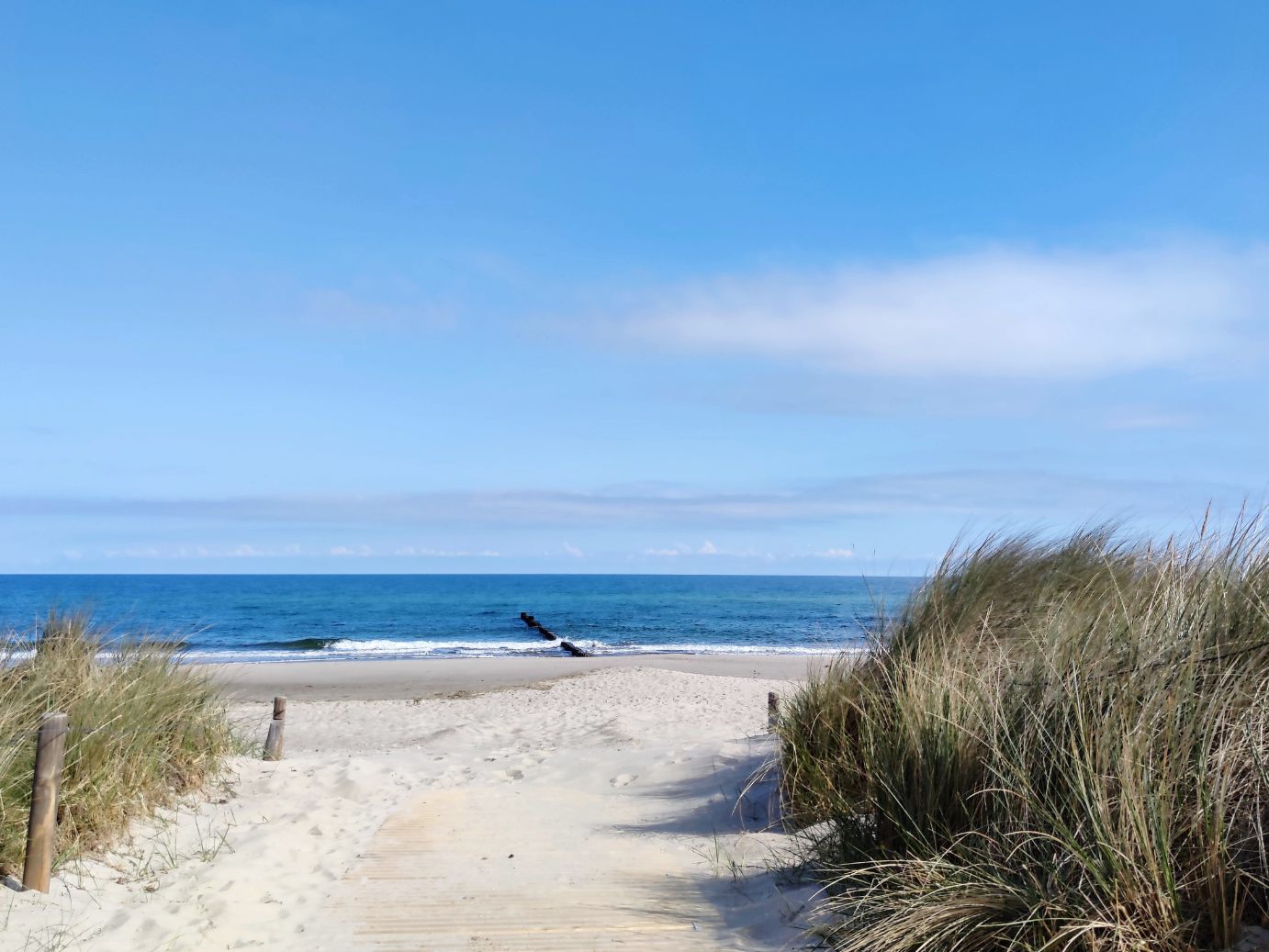 In der Ost- und Nordsee sind die Fischbestände schlecht. In der Ost- und Nordsee sind die Fischbestände schlecht.