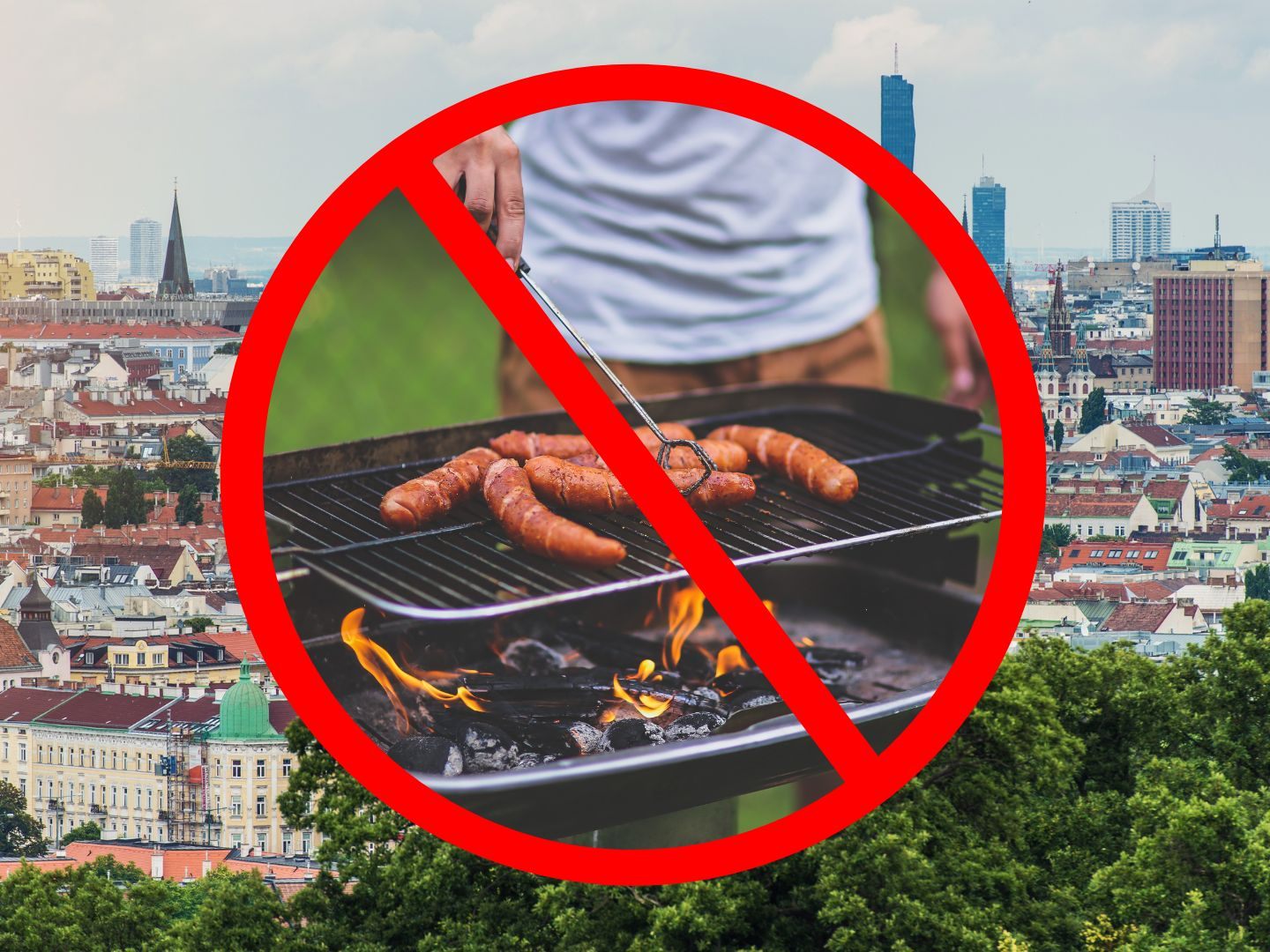 Das Grillverbot gilt für öffentliche Anlagen in Wien.