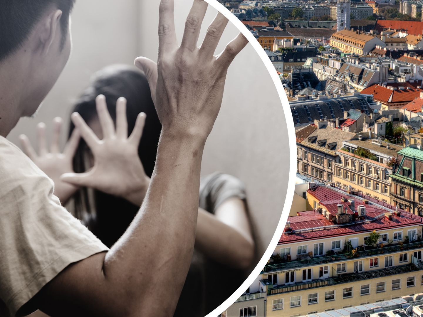 Die meisten Verbote wurden in Floridsdorf ausgesprochen. Die meisten Verbote wurden in Floridsdorf ausgesprochen.