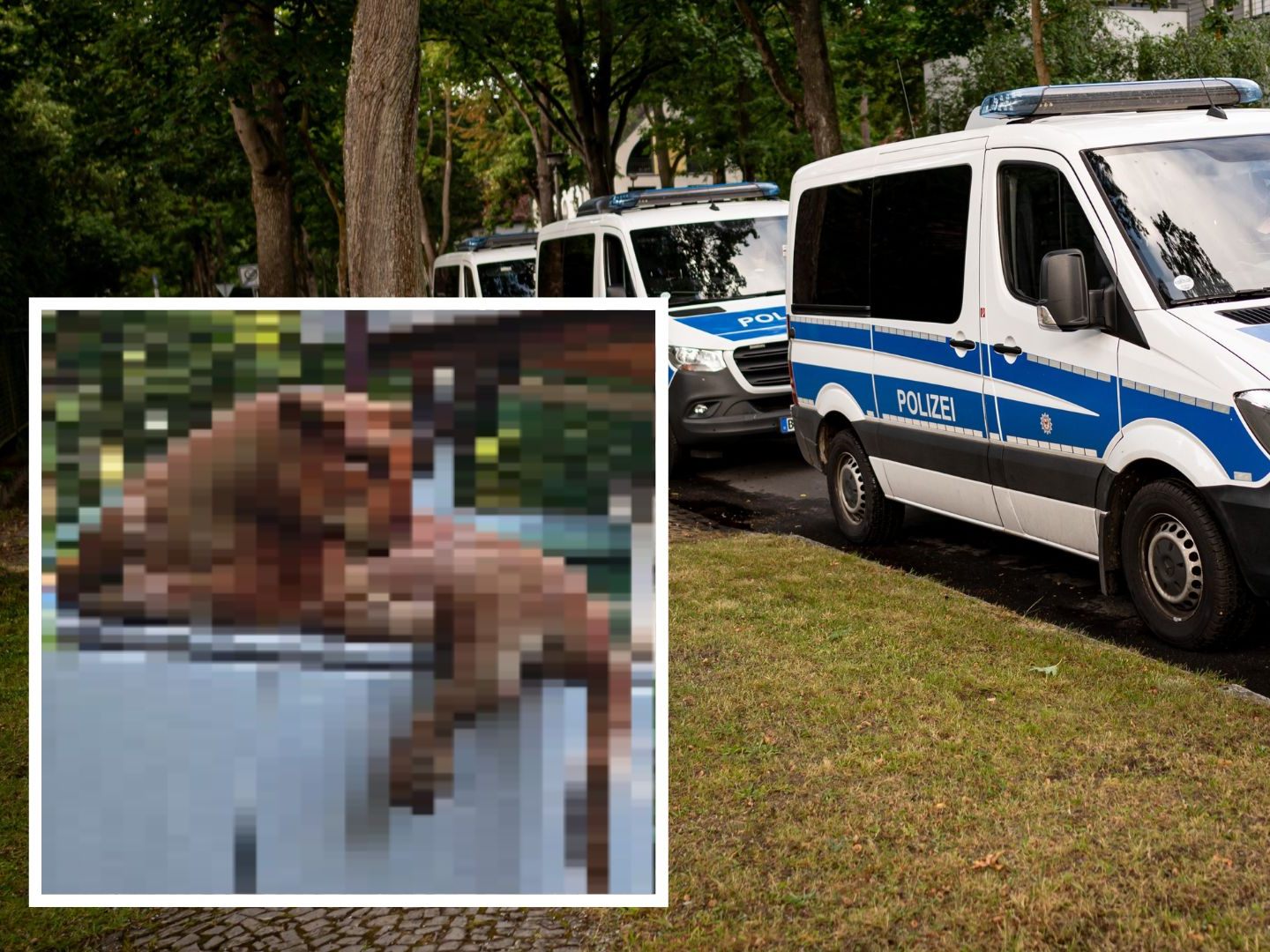 Raubtier-Alarm in Berlin. Raubtier-Alarm in Berlin.
