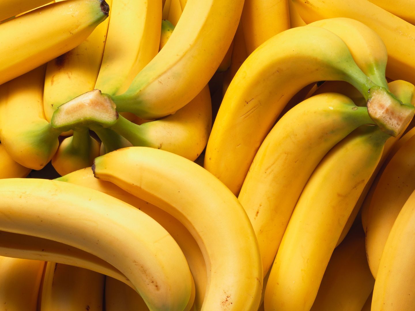 Ein Supermarkt in Krems ist nach einer Spinnensichtung geschlossen. Die Spinne soll aus einer Bananenschachtel gekrochen sein. Ein Supermarkt in Krems ist nach einer Spinnensichtung geschlossen. Die Spinne soll aus einer Bananenschachtel gekrochen sein.