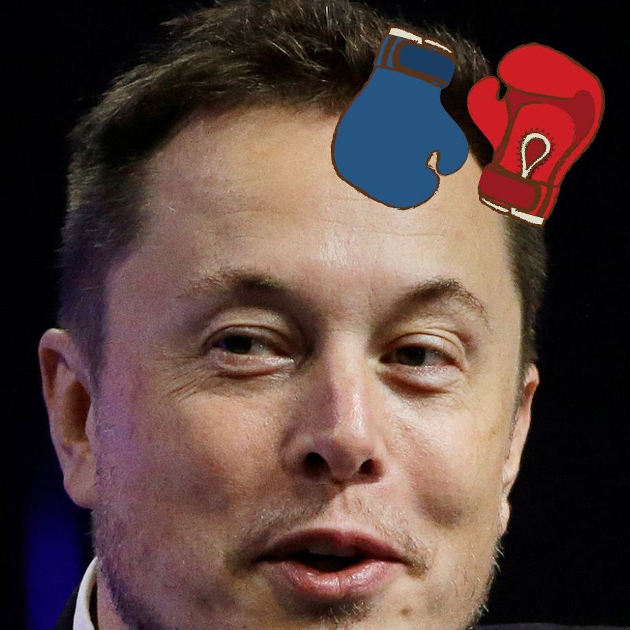 Elon Musk kündigte einen Live-Stream zu seinem Käfigkampf gegen Facebook-Gründer Mark Zuckerberg an.