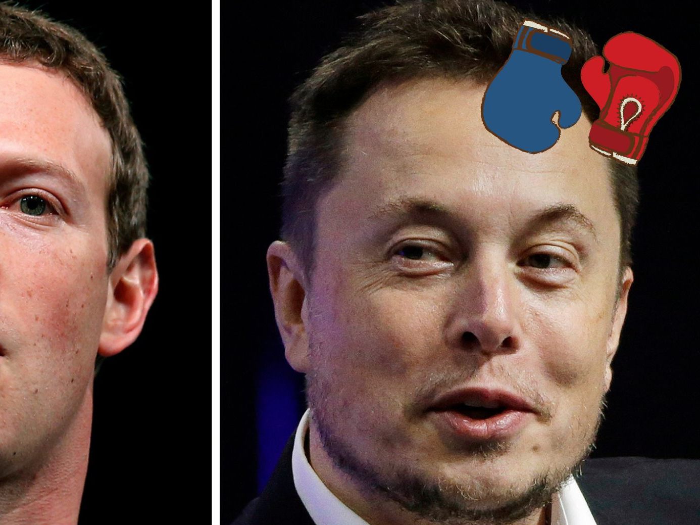 Elon Musk kündigte einen Live-Stream zu seinem Käfigkampf gegen Facebook-Gründer Mark Zuckerberg an.