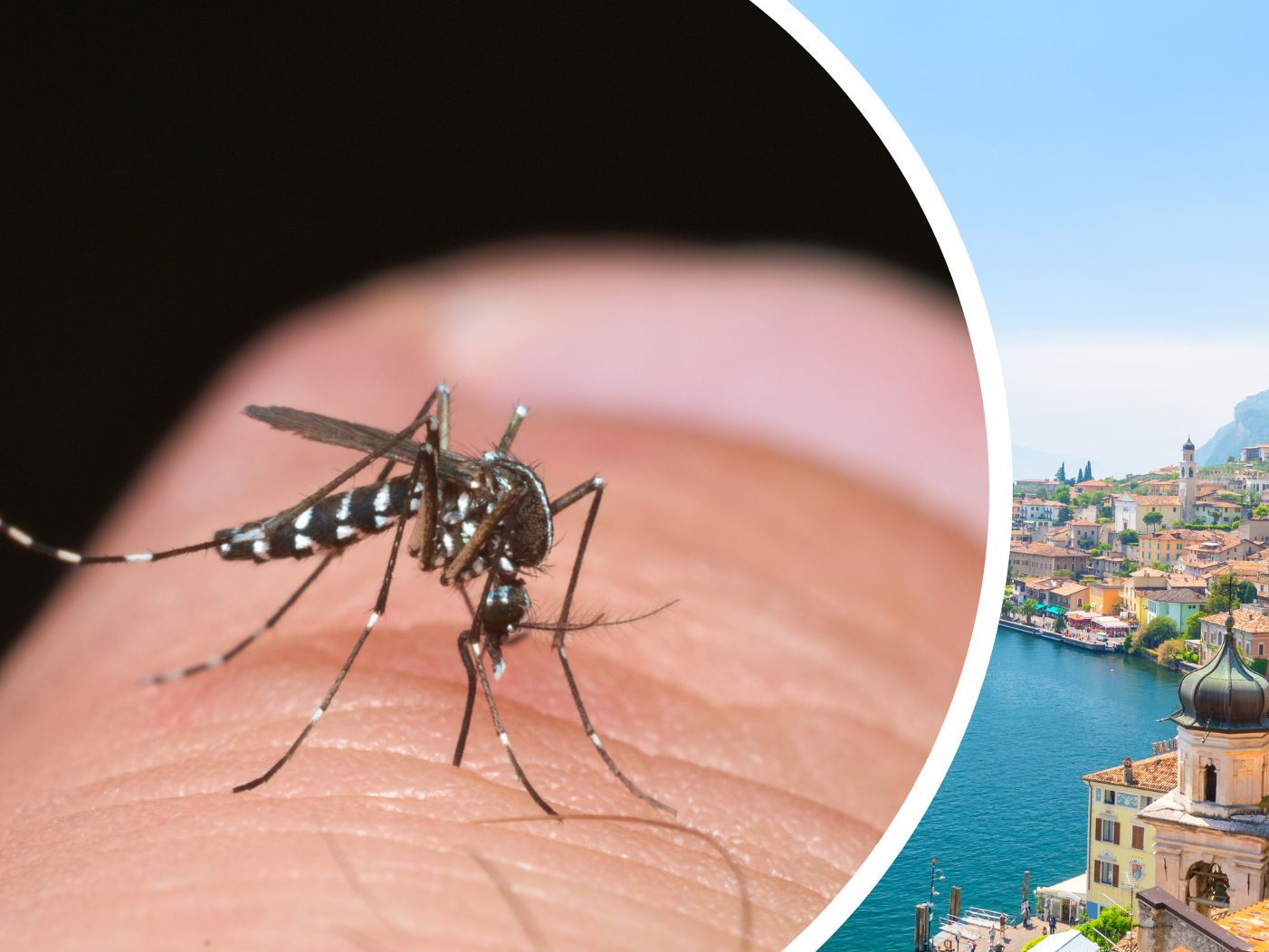 Rund um den italienischen Gardasee wurden Fälle des Dengue-Fiebers gemeldet.