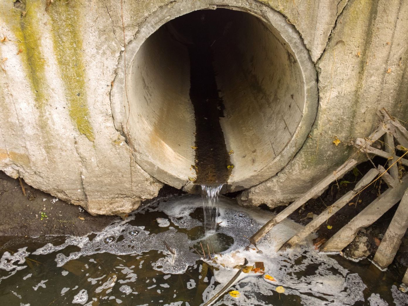 Der Abwasserkanal einer Wohnhausanlage in Wien-Liesing soll fälschlicher Weise an den Regenwasserkanal angeschlossen gewesen sein. Der Abwasserkanal einer Wohnhausanlage in Wien-Liesing soll fälschlicher Weise an den Regenwasserkanal angeschlossen gewesen sein.