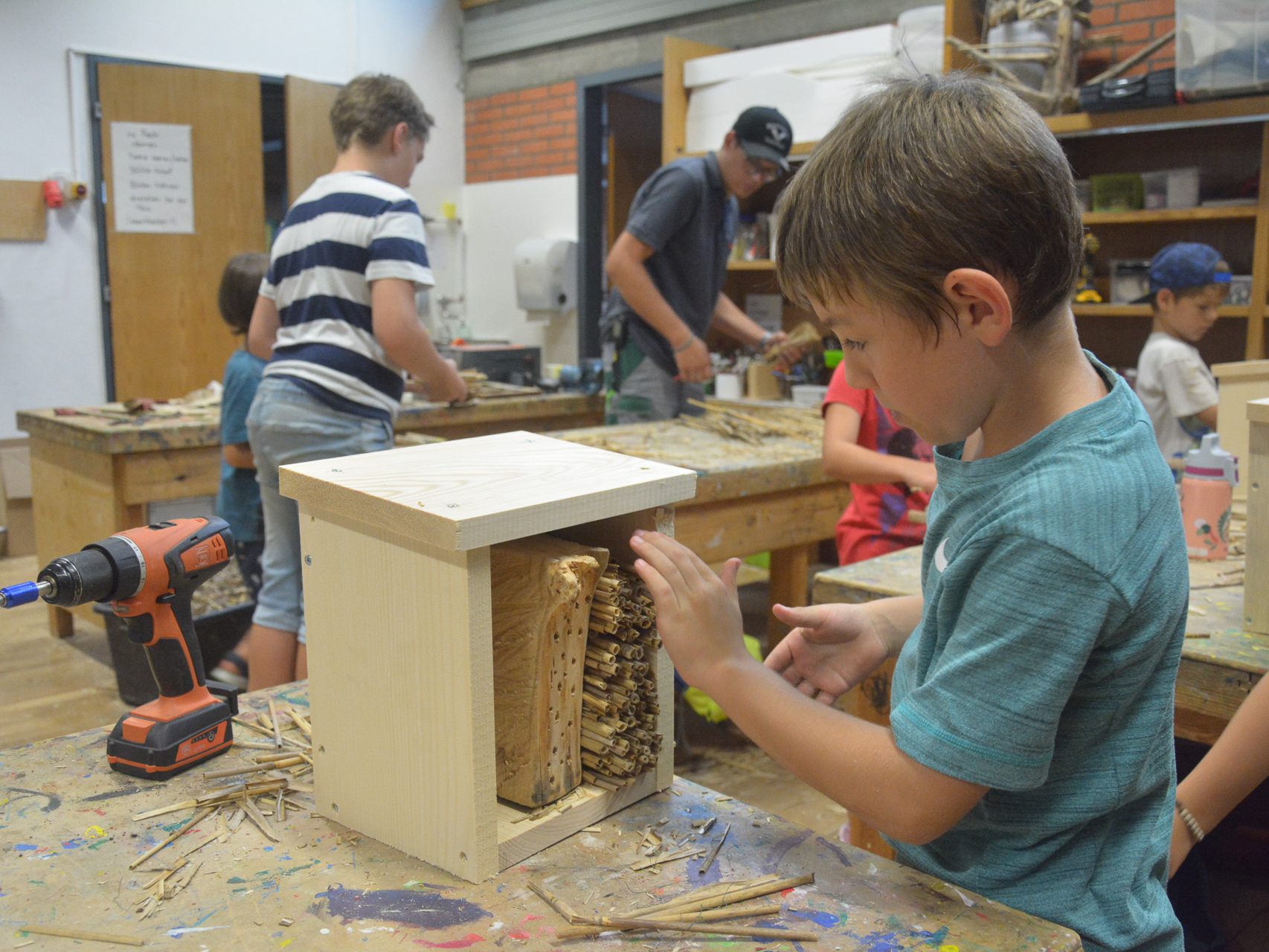 Der Bienenzuchtverein Lustenau baute mit Kindern Nisthilfen für Wildbienen. Der Bienenzuchtverein Lustenau baute mit Kindern Nisthilfen für Wildbienen.