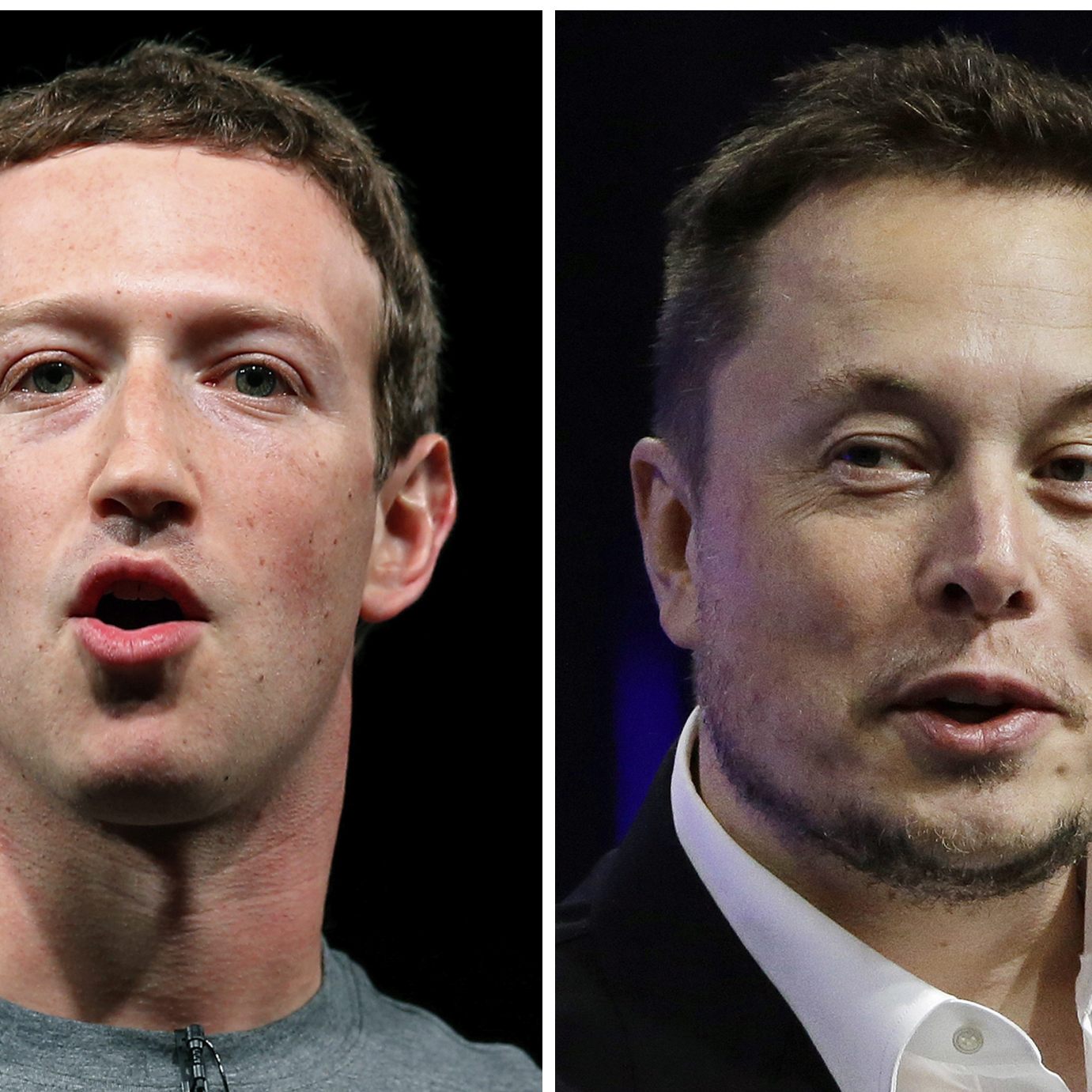 Musk: Zuckerberg ist ein "Feigling."