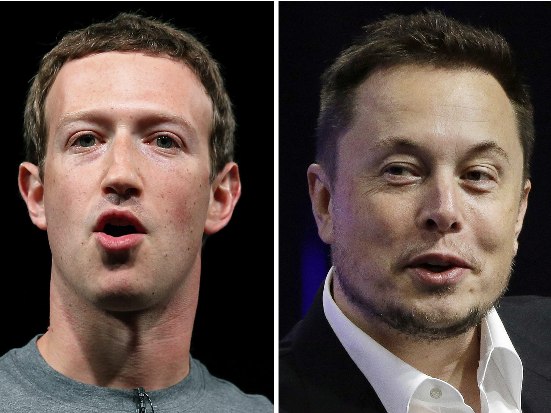 Musk: Zuckerberg ist ein "Feigling." Musk: Zuckerberg ist ein "Feigling."