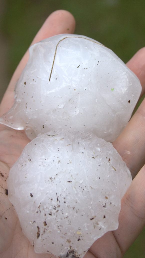 Die Hagelkörner töteten zahlreiche Tiere.