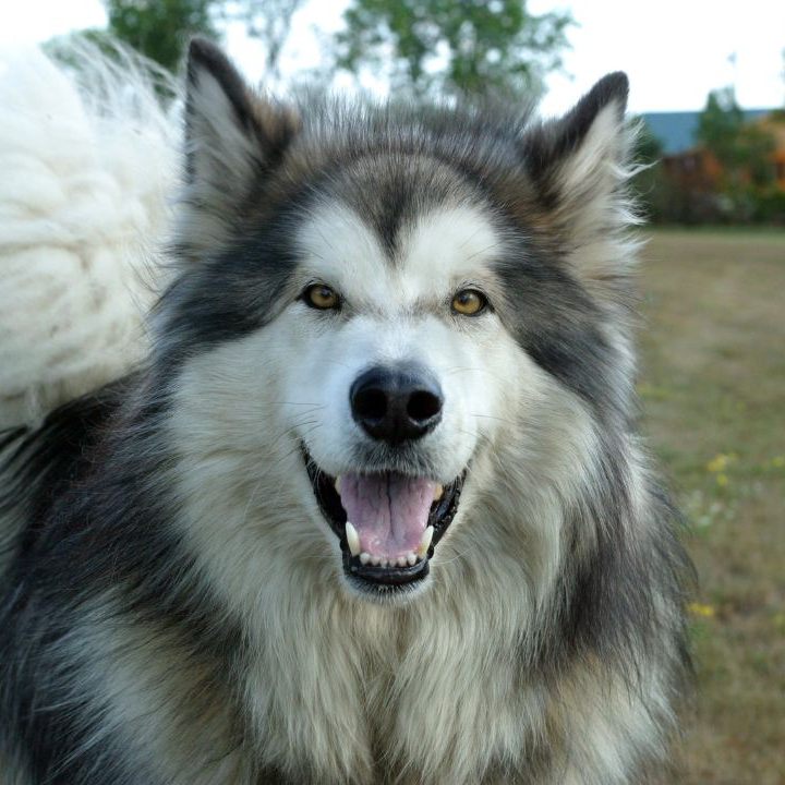 Mit Verletzungen ins Spital gebracht