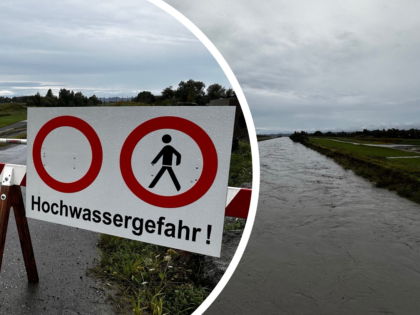 Bild zeigt aktuelle Hochwasser-Situation am Rhein in Hard. Bild zeigt aktuelle Hochwasser-Situation am Rhein in Hard.