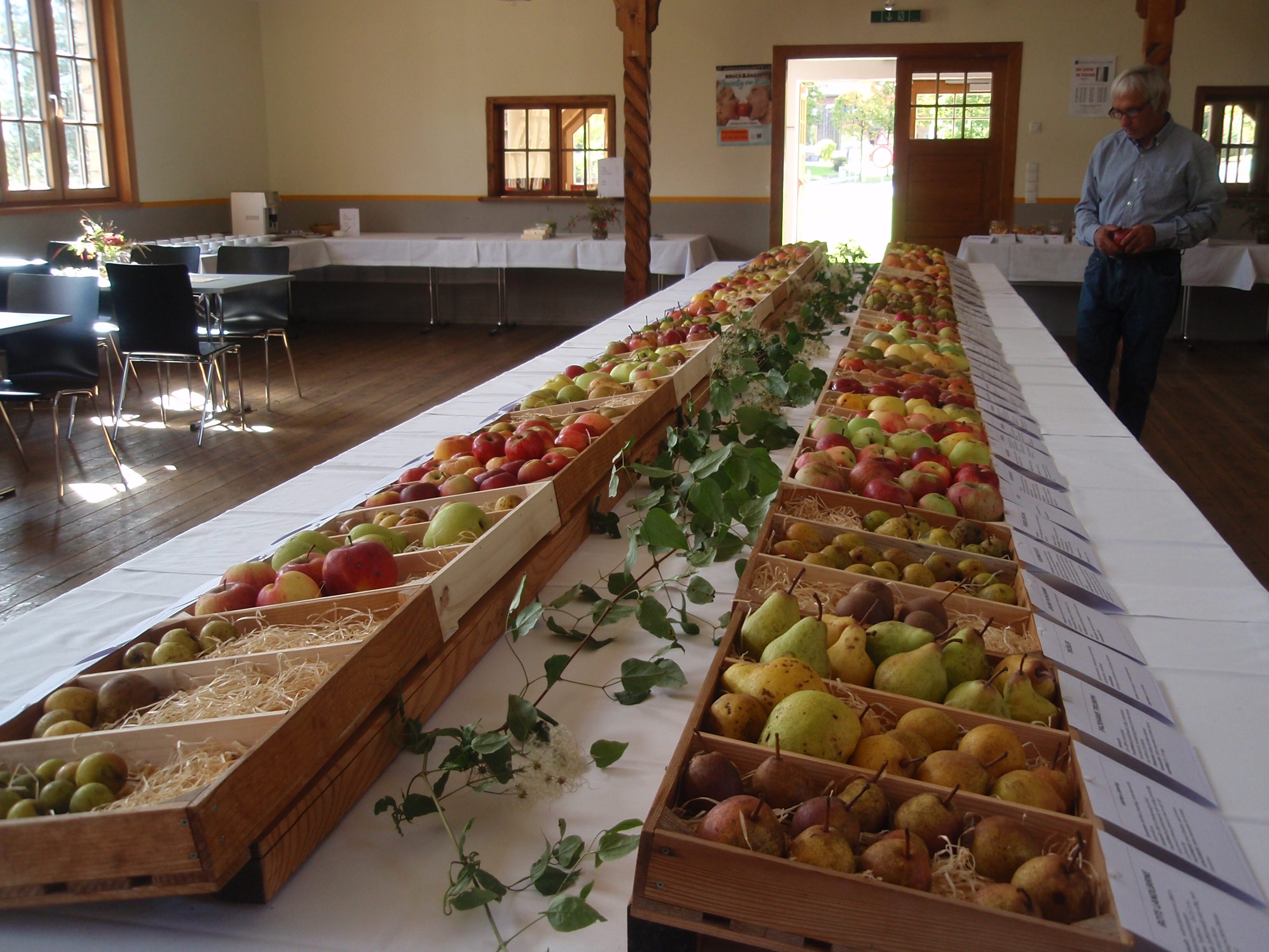 Obstausstellung 2014