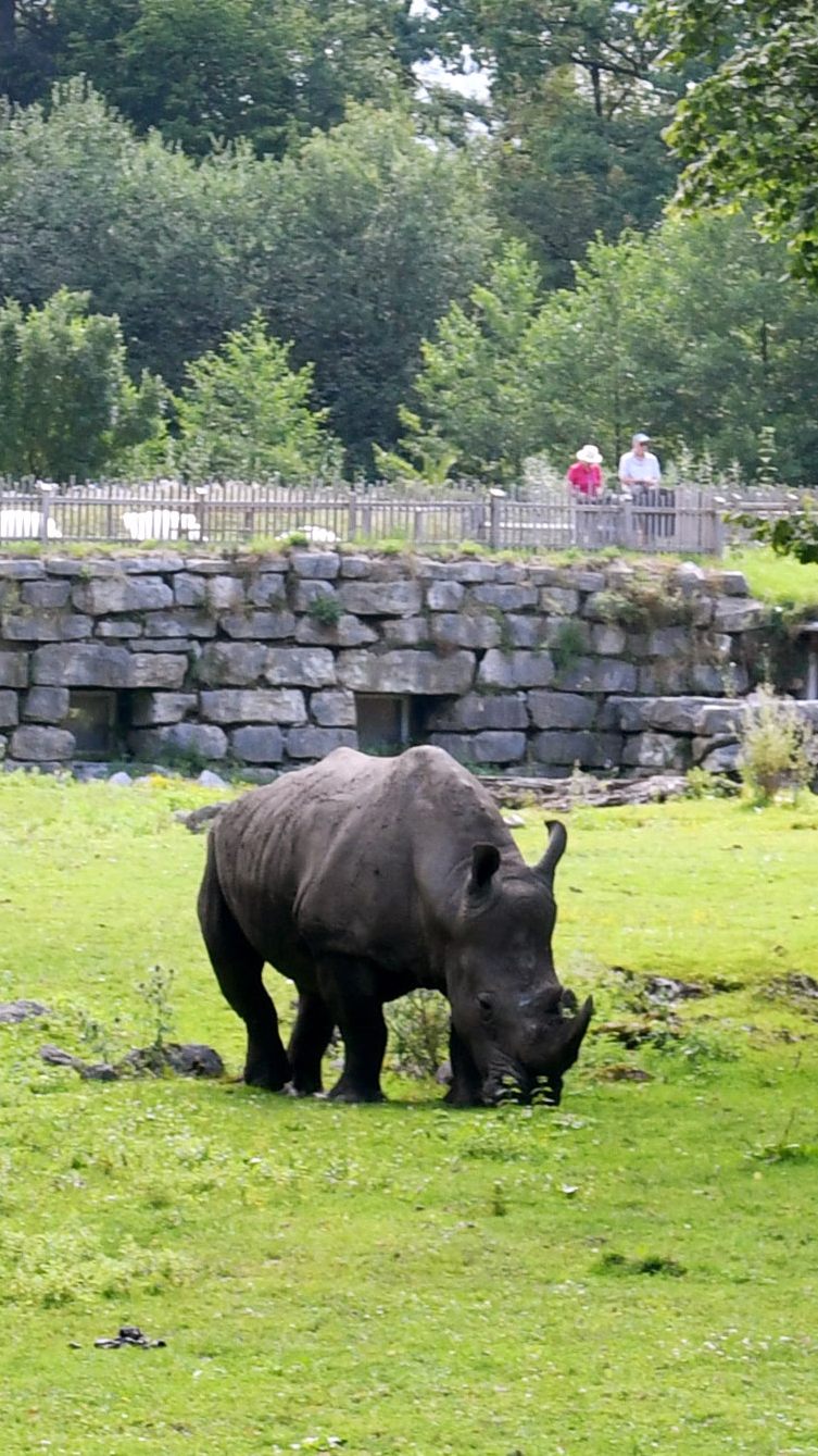 Im Zoo Salzburg hat sich ein tödlicher Unfall ereignet.