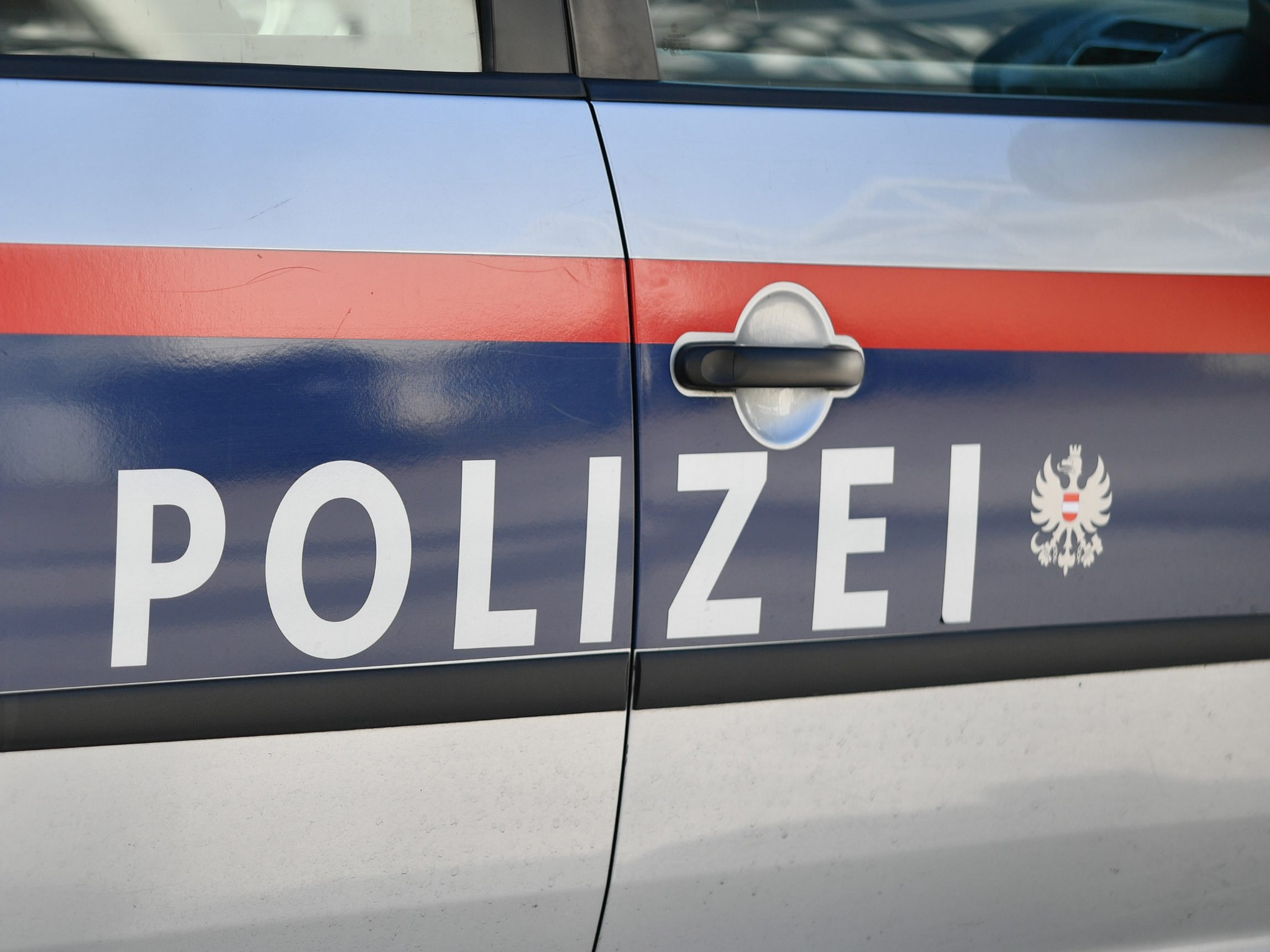 Die Wiener Polizei verhaftete zwei Männer.