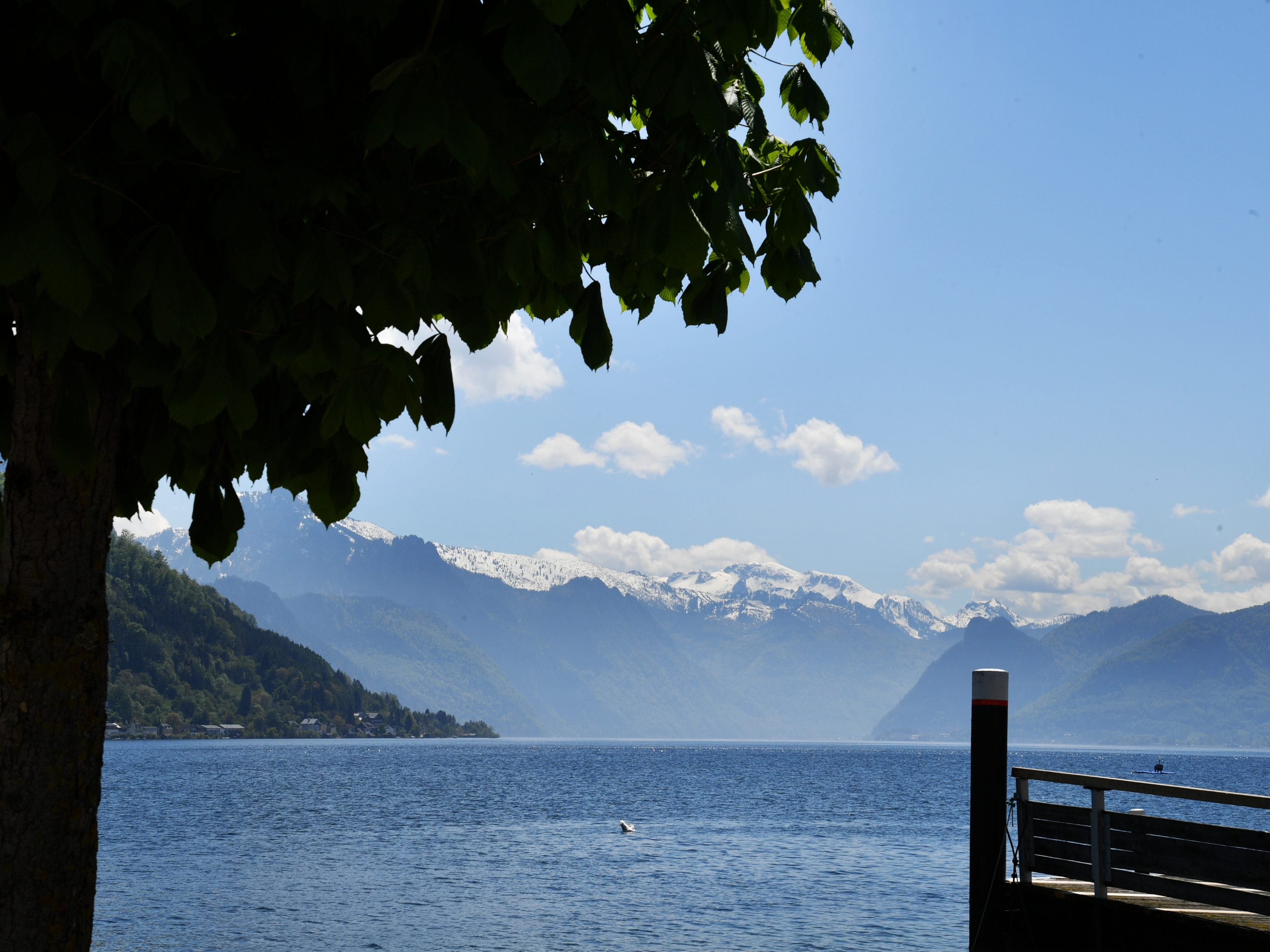 Bei einem Tauchgang im Traunsee ist eine deutsche Frau gestorben.