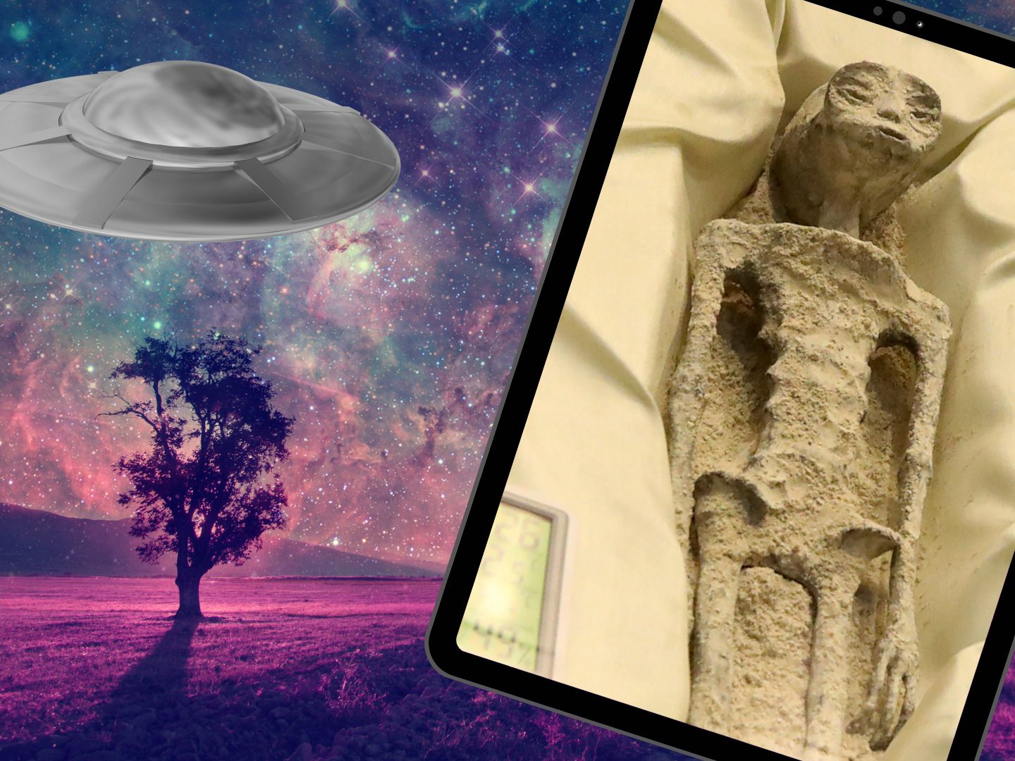 Die Mumien sollen über 1000 Jahre alt sein. Die Mumien sollen über 1000 Jahre alt sein.