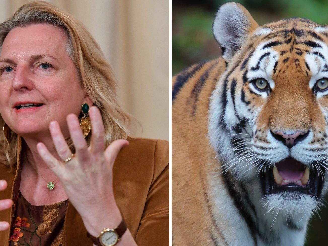Kneissl als Tiger-Retterin in Russland. Kneissl als Tiger-Retterin in Russland.