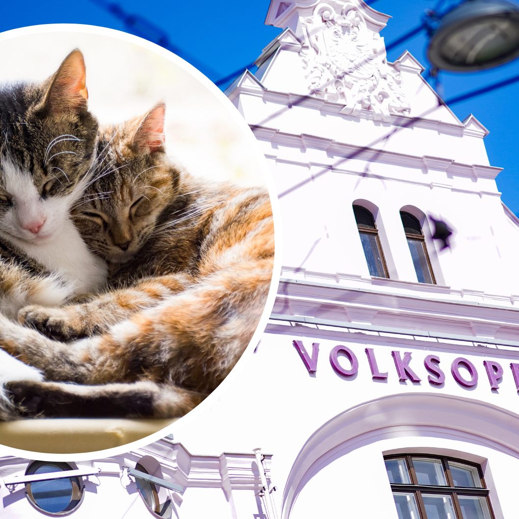 "Aristocats" feierte in der Wiener Volksoper Premiere.